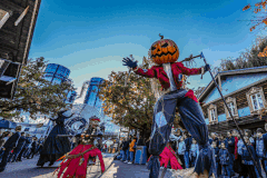 share: Europa-Park im November: Eintritt + Busfahrt