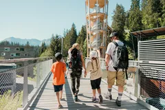share: Baumwipfelpfad Laax