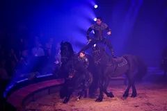 share: Backstage-Erlebnis im Circus Knie