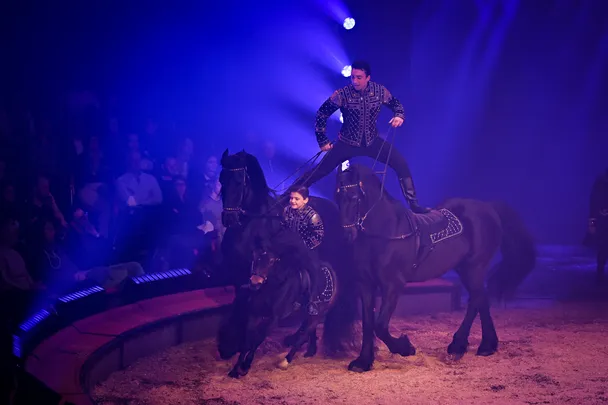 Backstage-Erlebnis im Circus Knie
