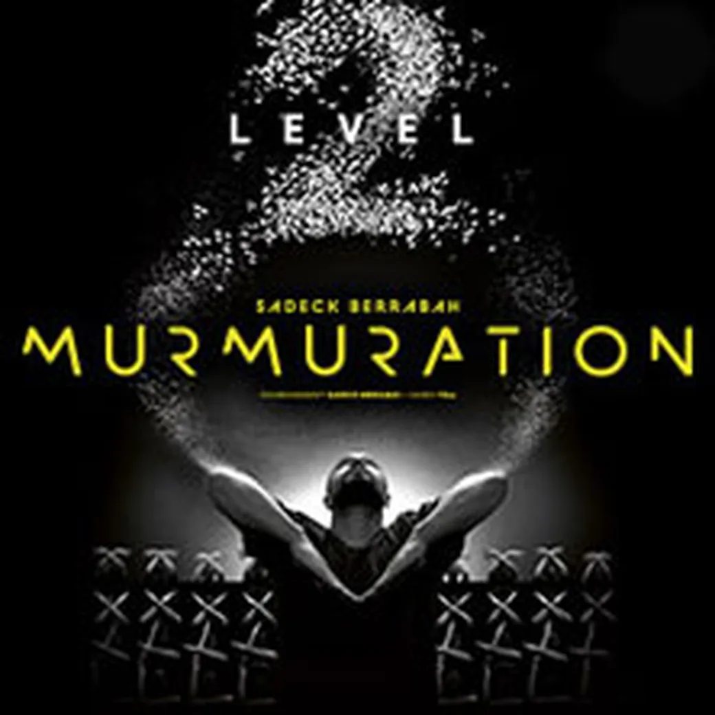 Event image for Murmuration de Sadeck Berrabah - Level 2