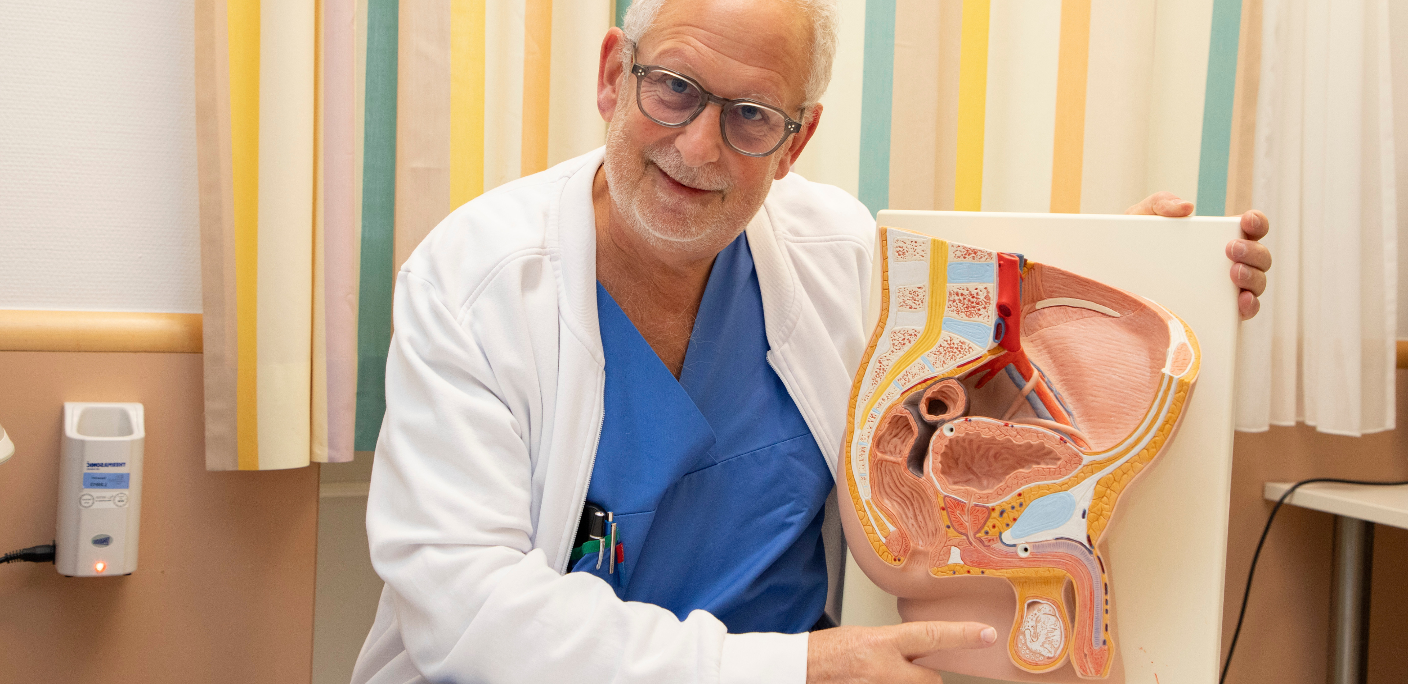 Arzt zeigt auf Nachbildung von männlichem Geschlechtsteil.