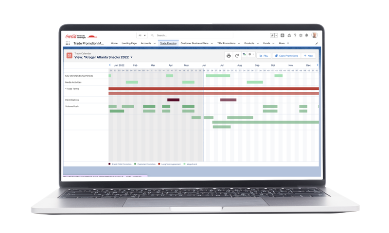 Peak & Peak's success story: Implementing Salesforce Consumer Goods Cloud Trade Promotion Management at Coca-Cola Pen Bev to optimize promotions and enhance profitability.