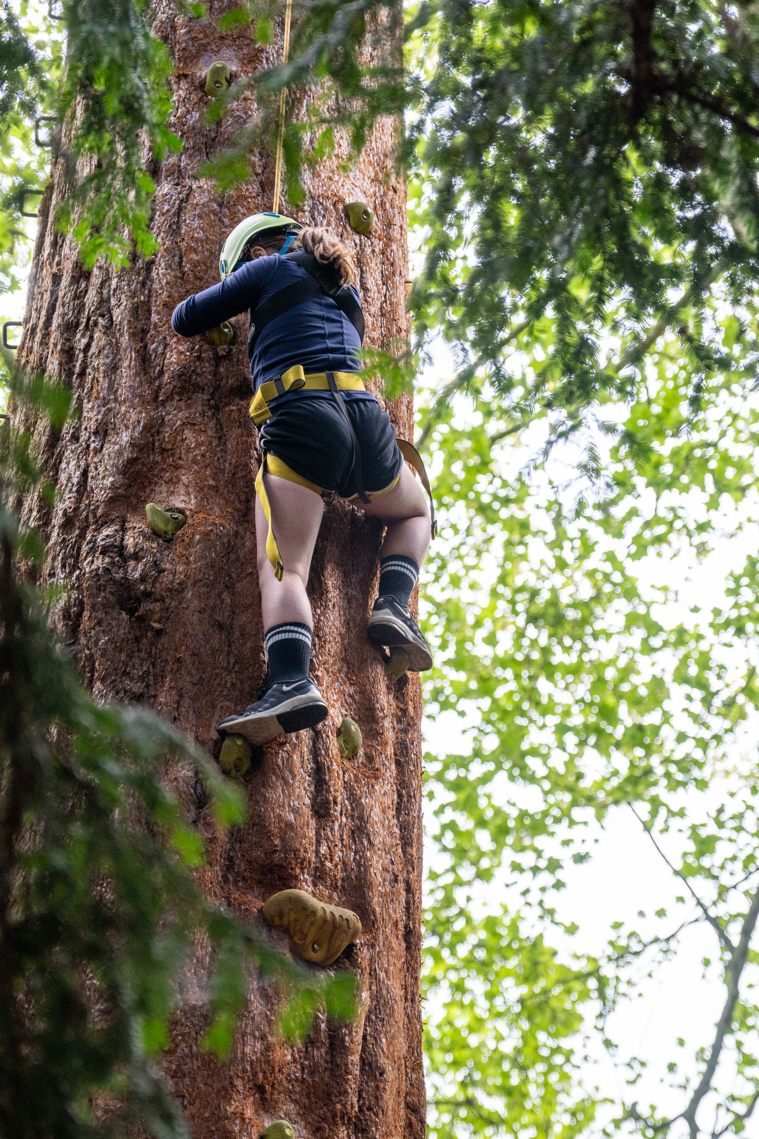 high ropes at ripley castle