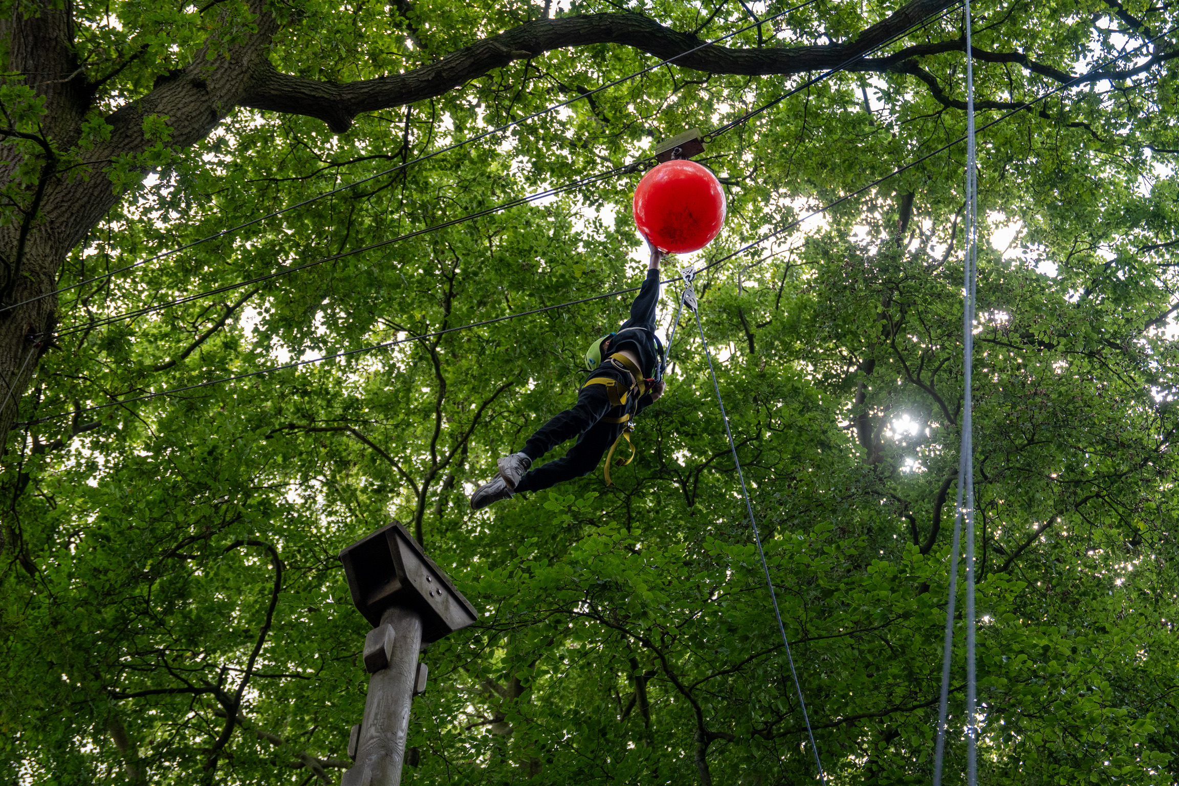 Ace Adventure Leap Of Faith