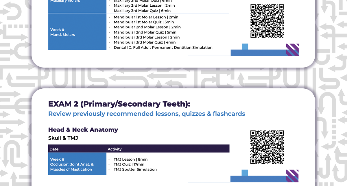 a curriculum mapping document showing curriculum content on the left and a QR code linking to relevant Immersify resources on the right