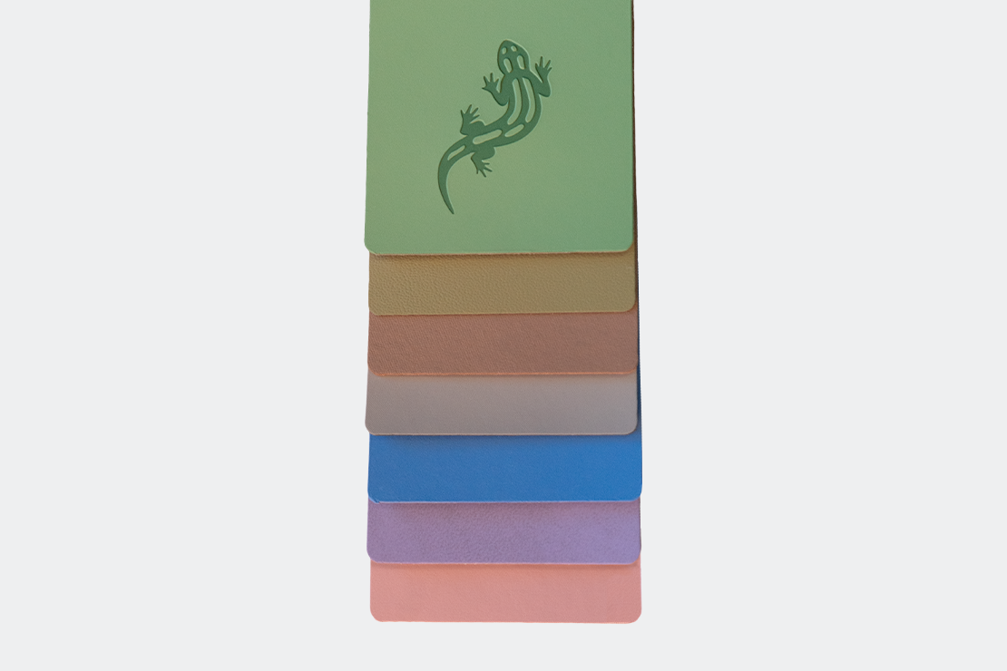 A stack of colorful notebooks with a green lizard logo on the top one. The notebooks are in different colors, including green, brown, blue, purple, and pink.