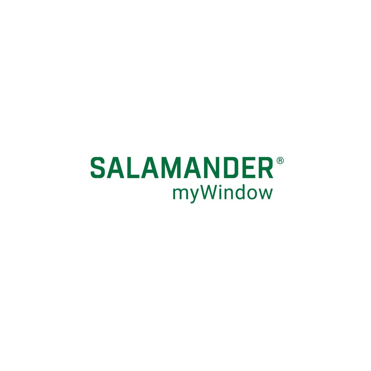 https://a.storyblok.com/f/308729/1200x1200/0d0ee7e285/salamander-mywindow_logo-unternehmensbereiche.jpg