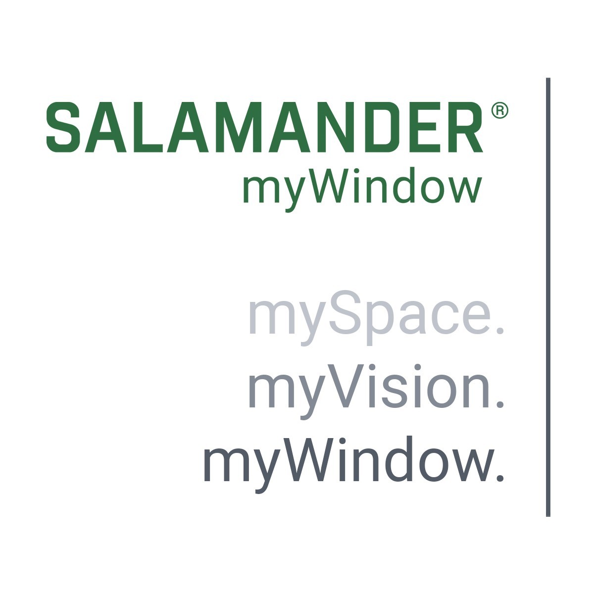 Salamander logo with the taglines "myWindow," "mySpace," "myVision," and "myWindow" displayed vertically.