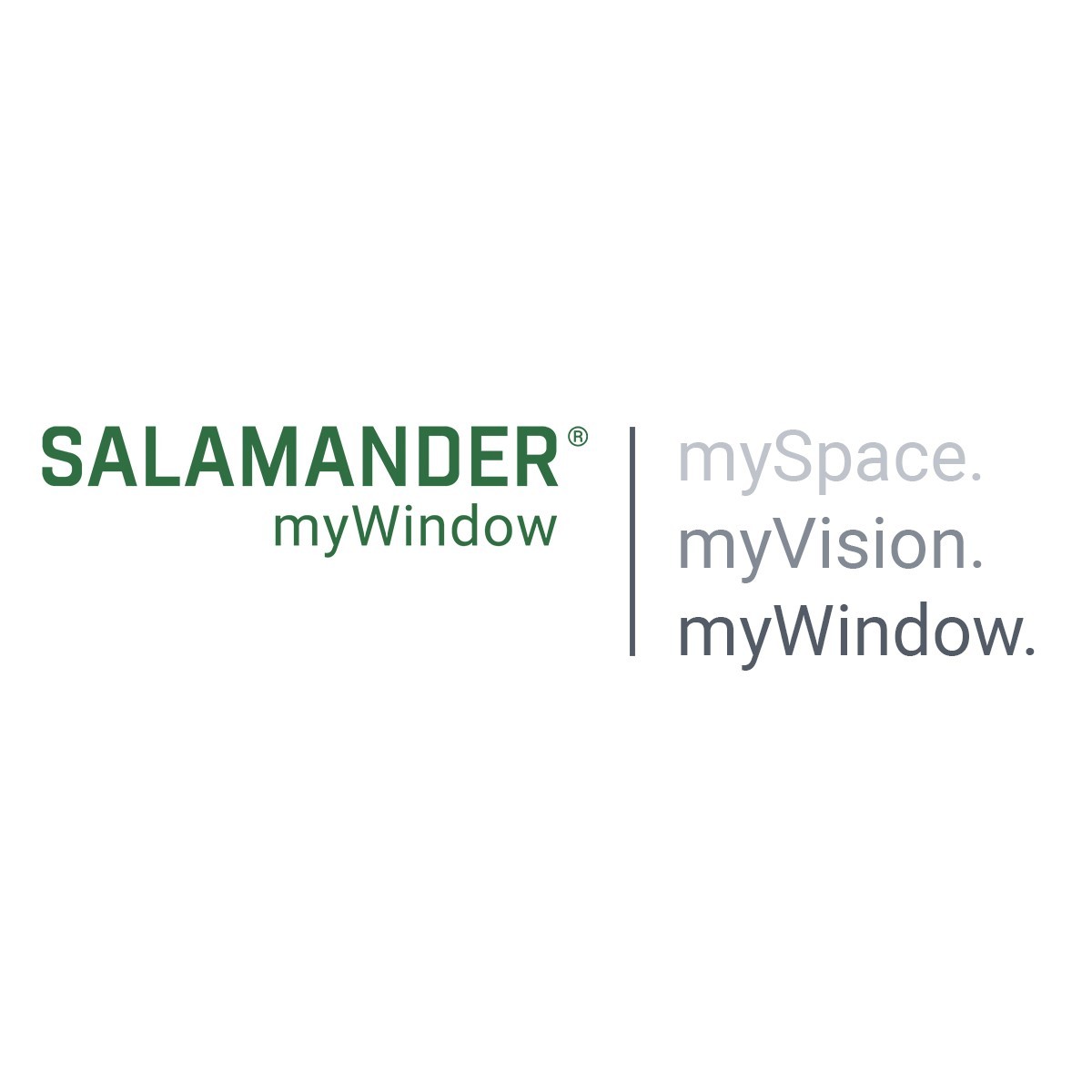 Logo Salamander cu mySpace, myWindow și myVision scrise sub el.