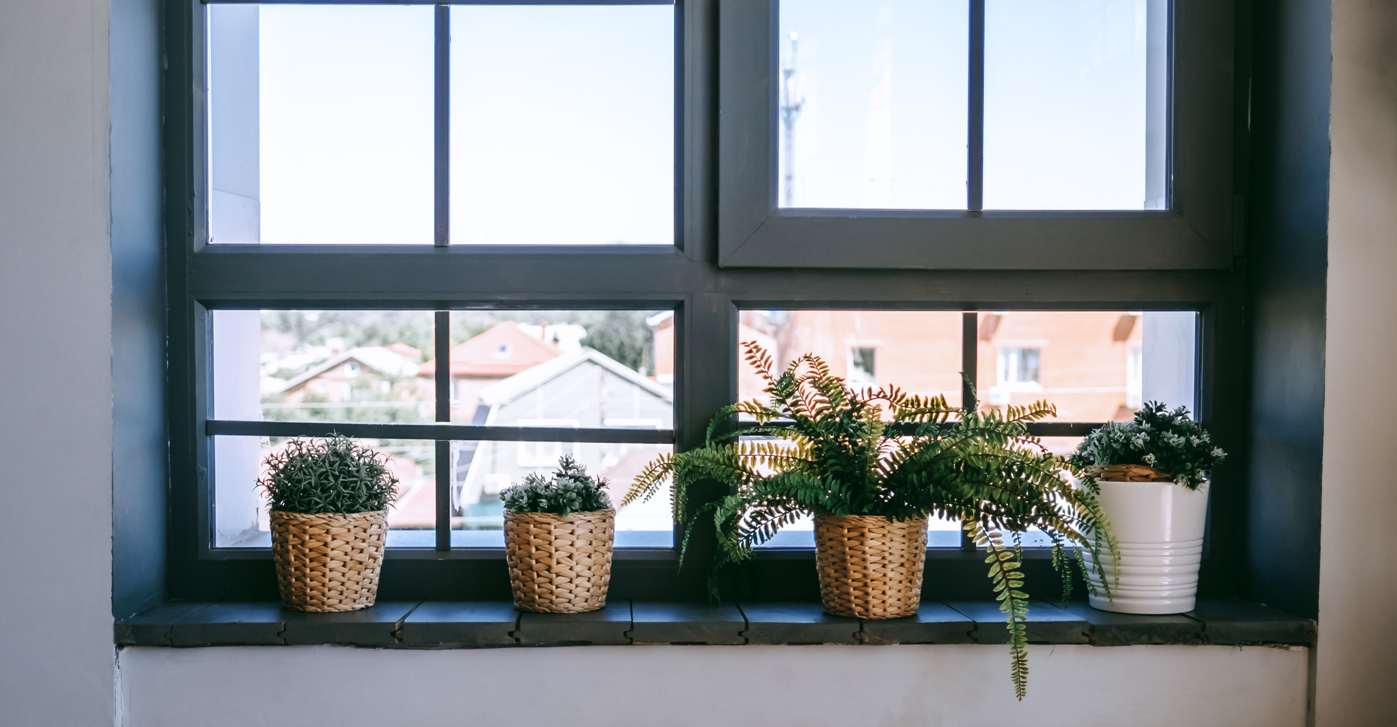 Four potted plants on a windowsill with a view of houses and a clear sky through the window.