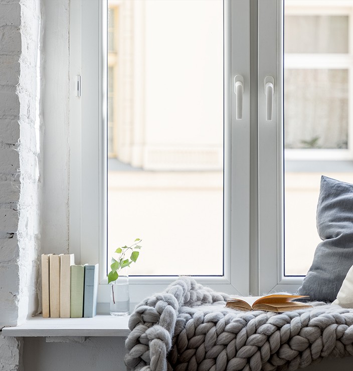 Ventana blanca con libros, planta y manta en el alféizar, con vista a una escena exterior brillante.