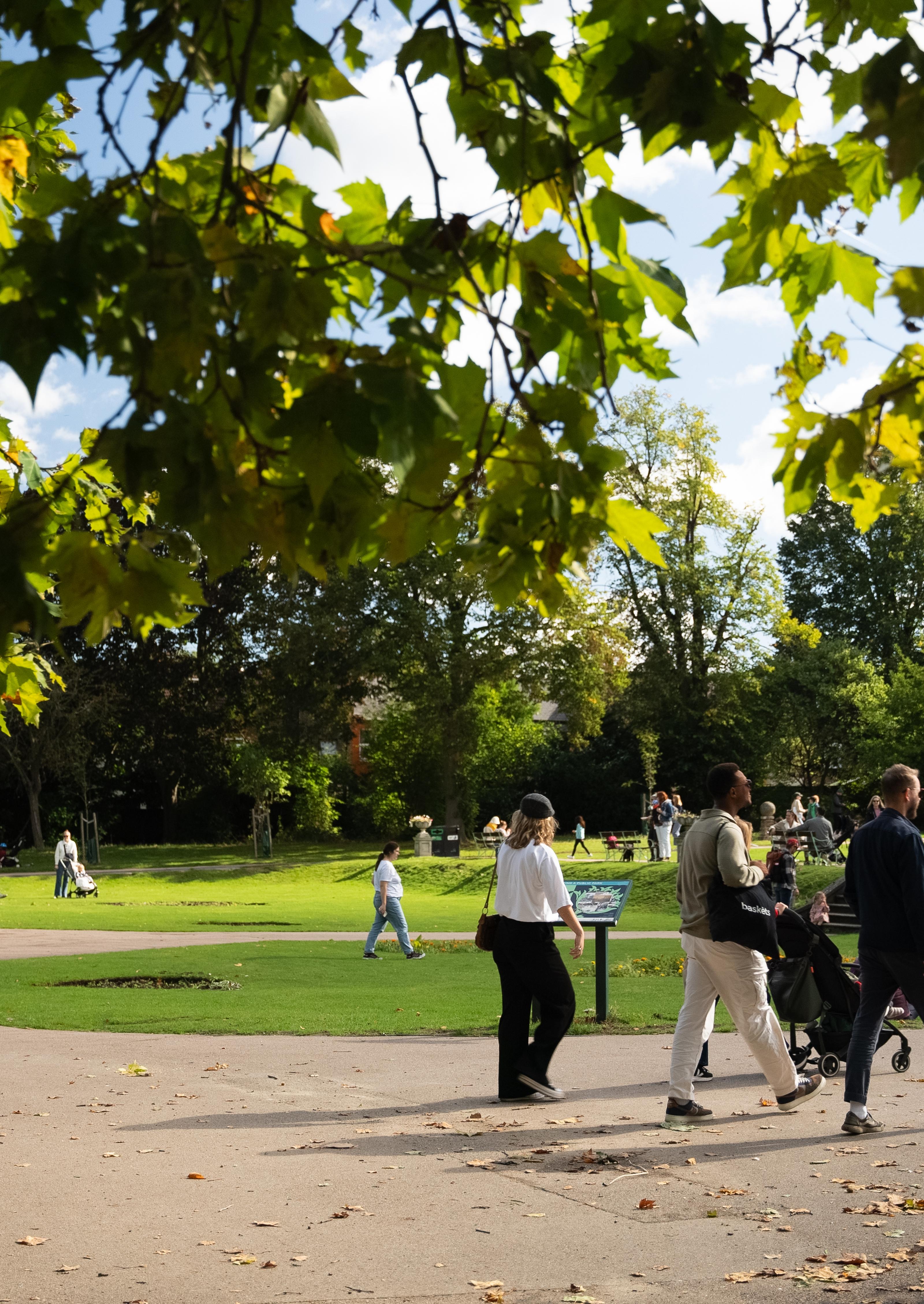 People walking in a sunny green park with trees, near The Eades luxury apartment rentals.