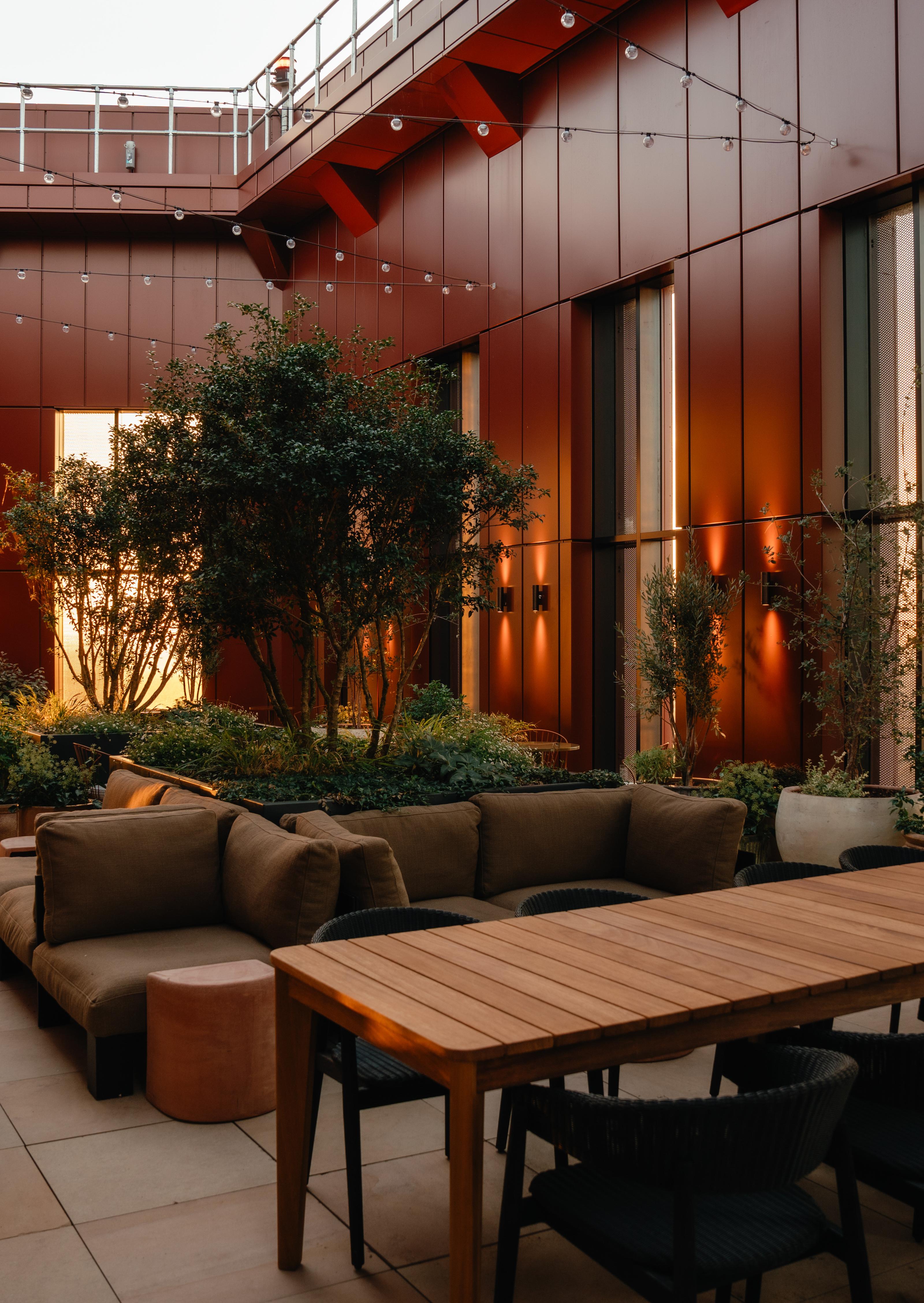 Image of rooftop terrace lounge with greenery and seating at The Eades luxury apartments to rent. [G]