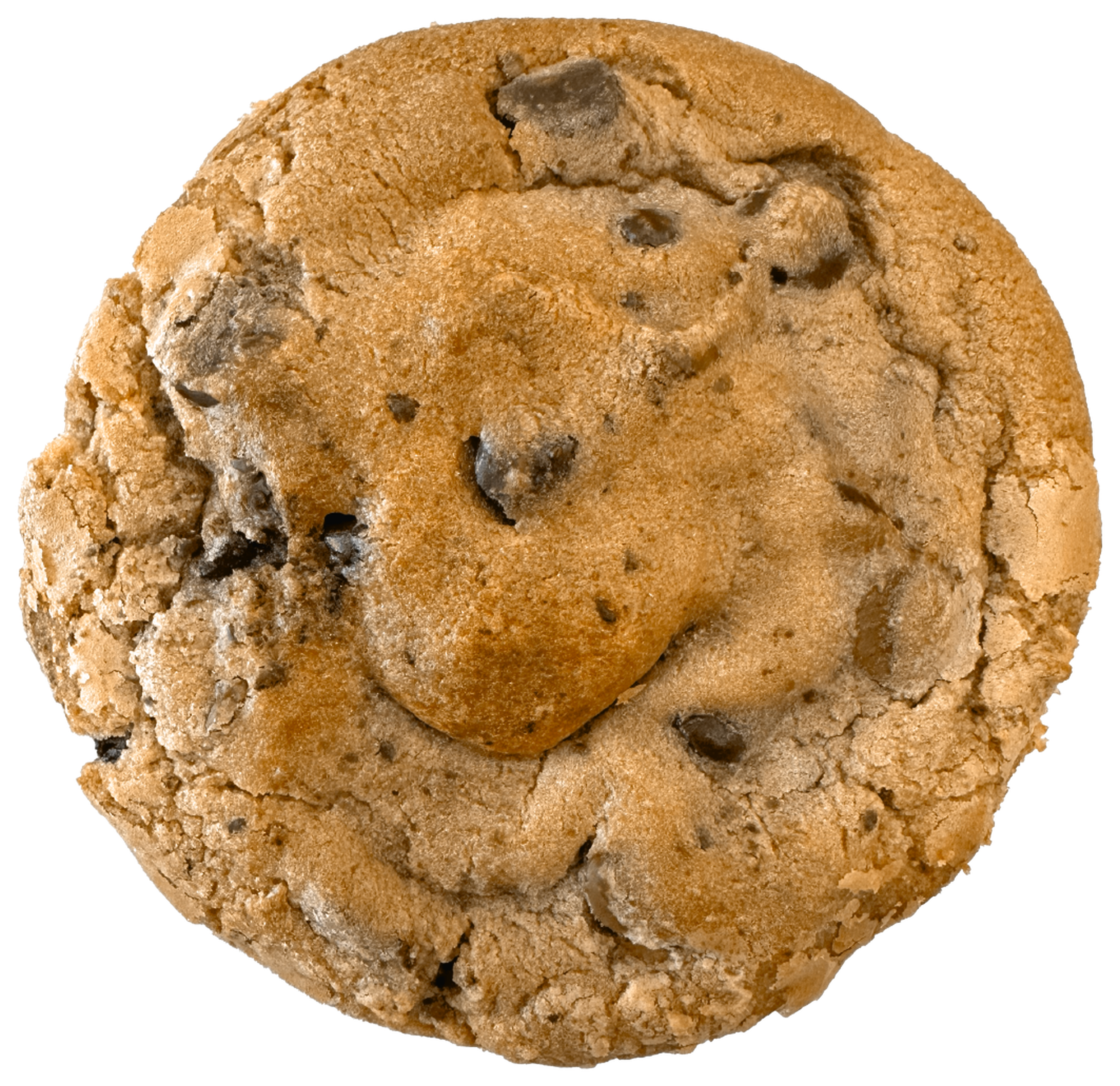 Cookie Delivery. Order Fresh Baked Organic Cookies | Bang Cookies