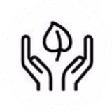 nachhaltigkeit-icon