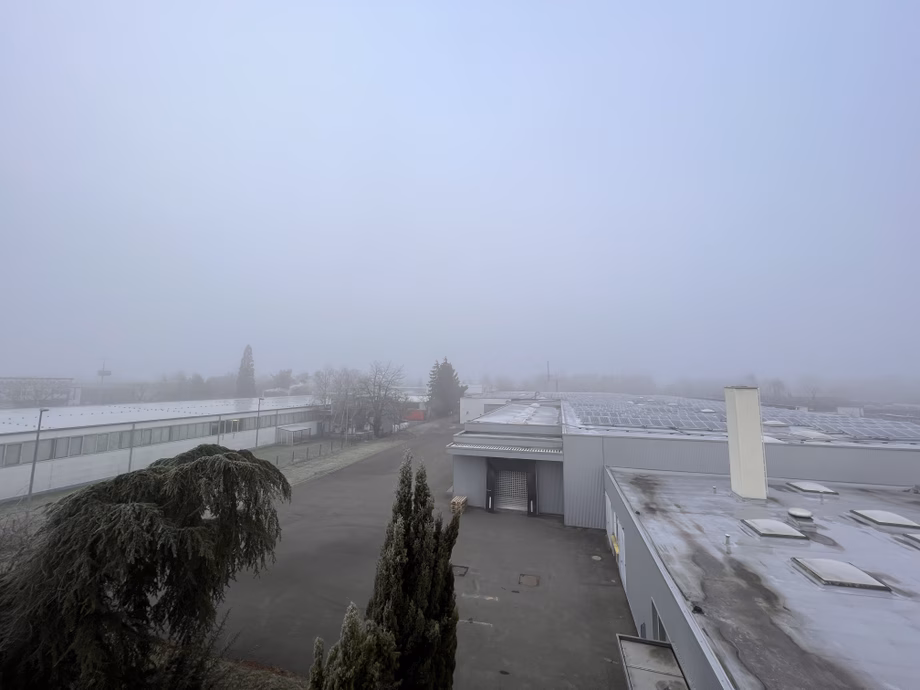 Foggy industrial area with large buildings, overcast sky, and trees in the foreground, creating a cold and misty atmosphere.