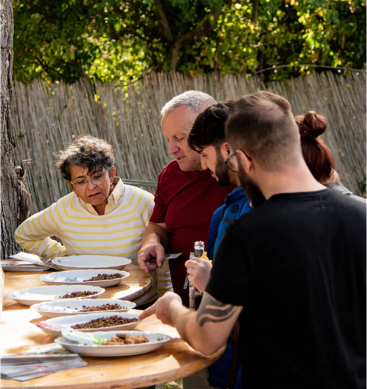 Brandenburger Werteslider