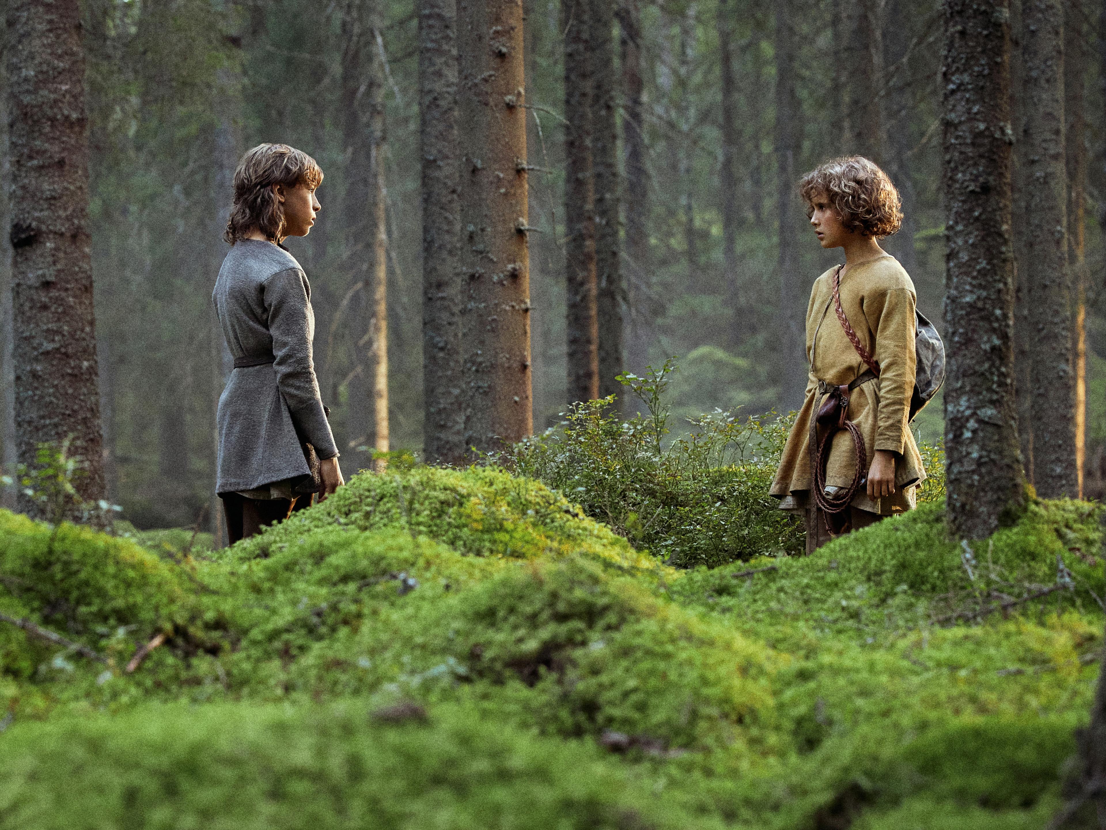 Header Audrius Solominas