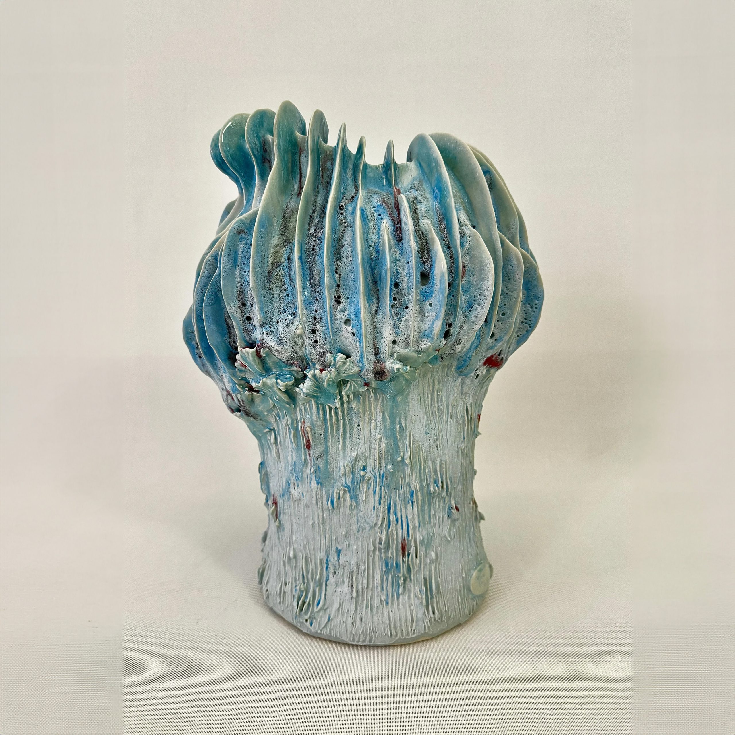 Coprinus Coelum Maxi