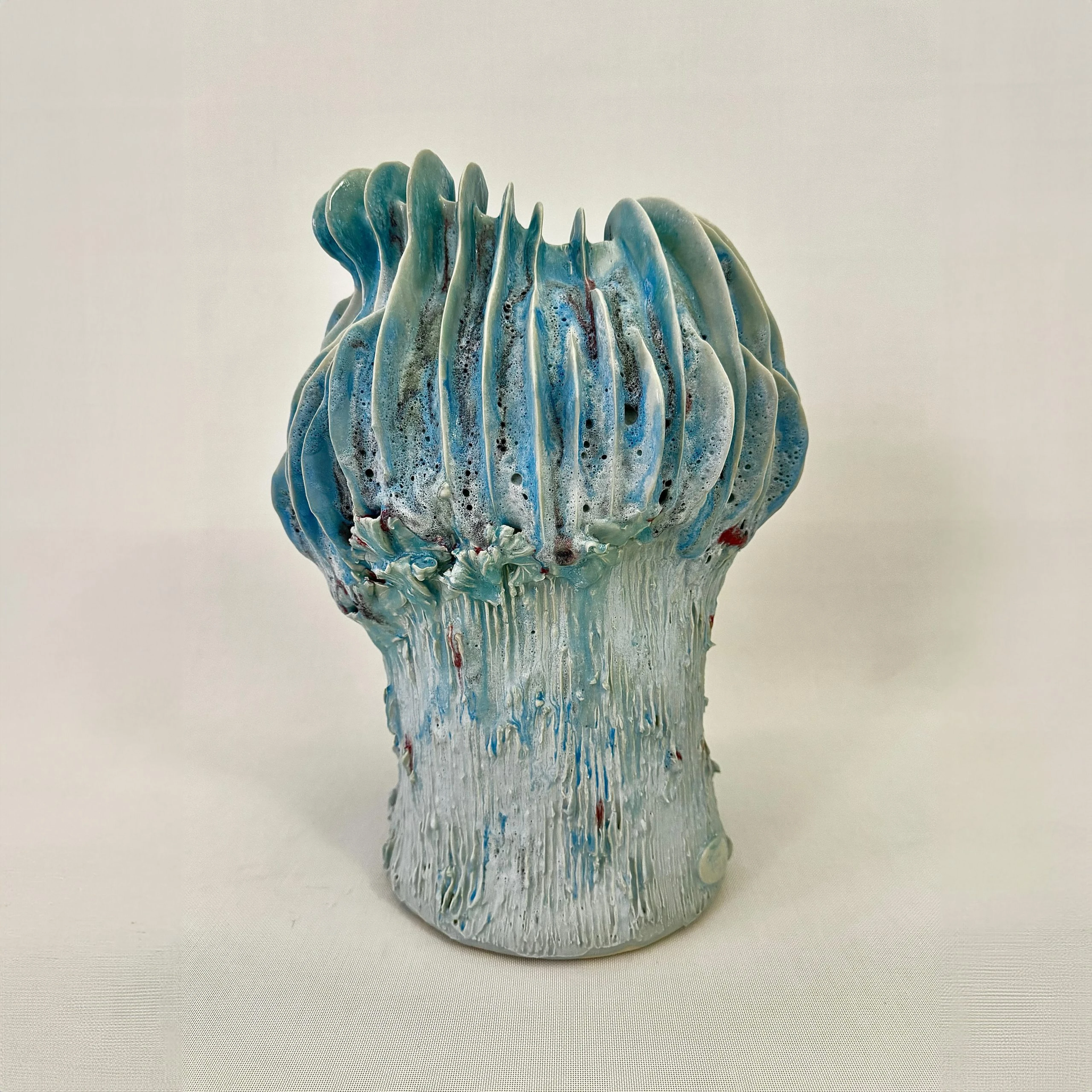 Coprinus Coelum Maxi