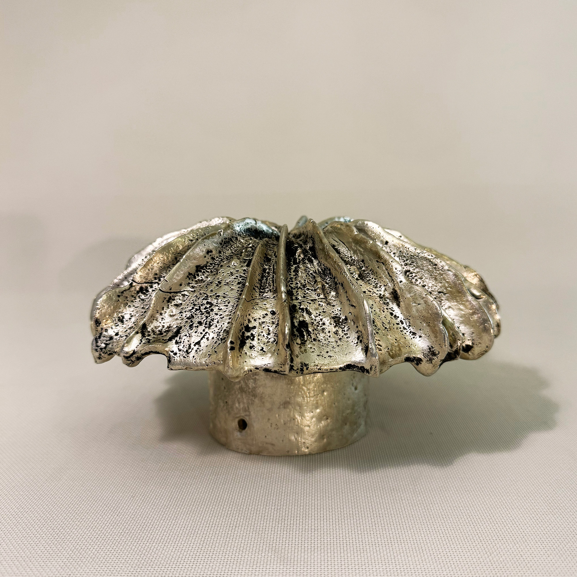Pileus Aes Mini
