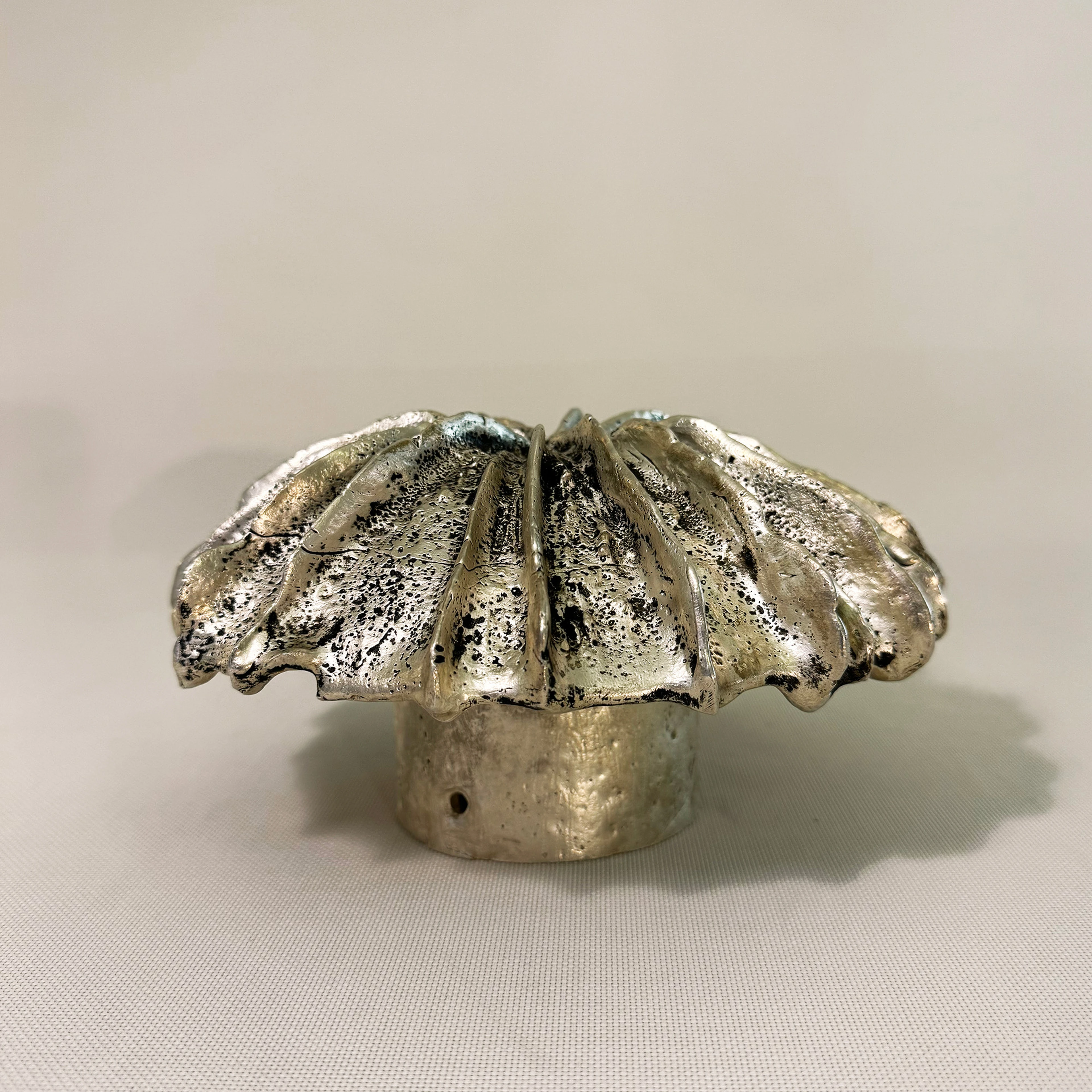 Pileus Aes Mini