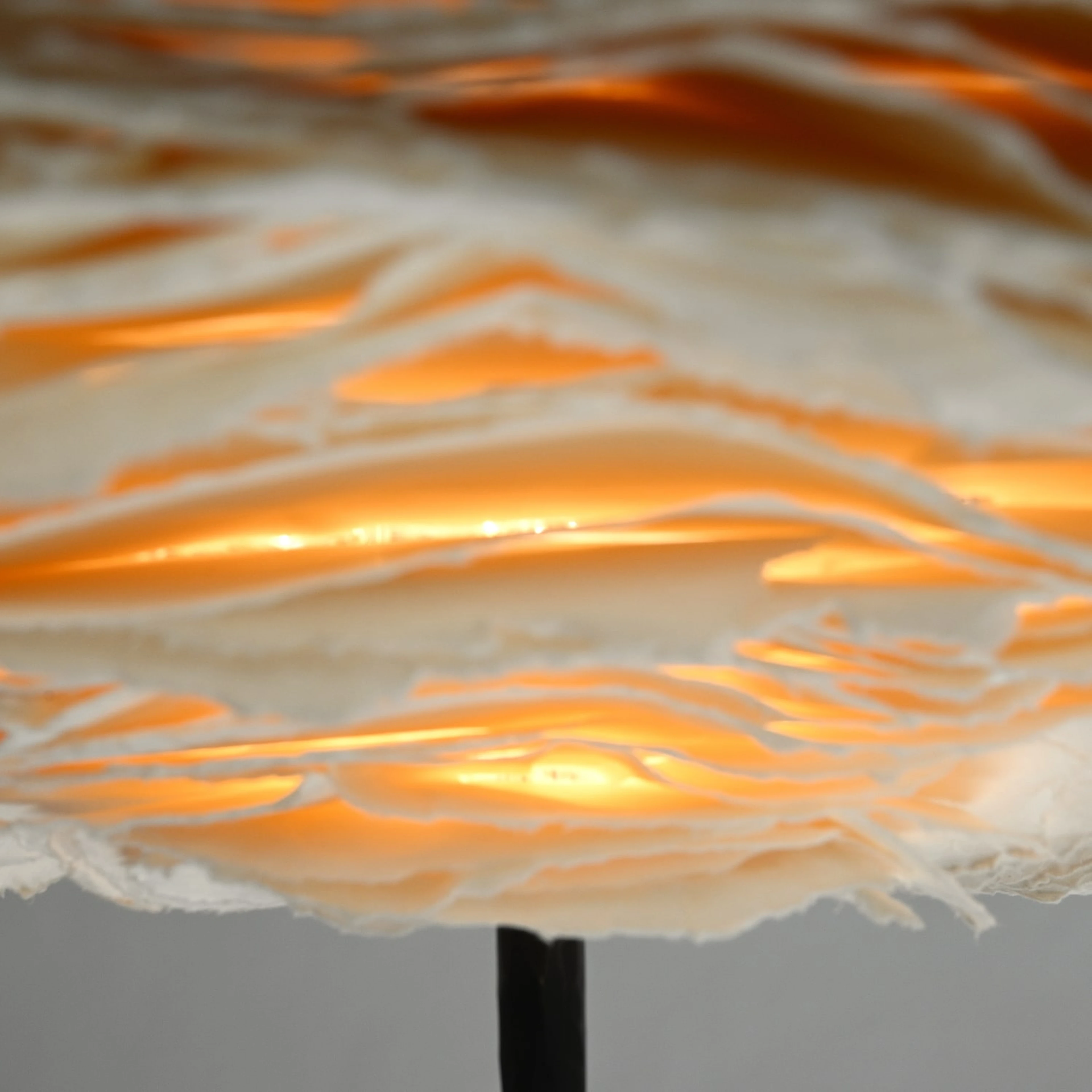 Cornette Floor Lamp - 3