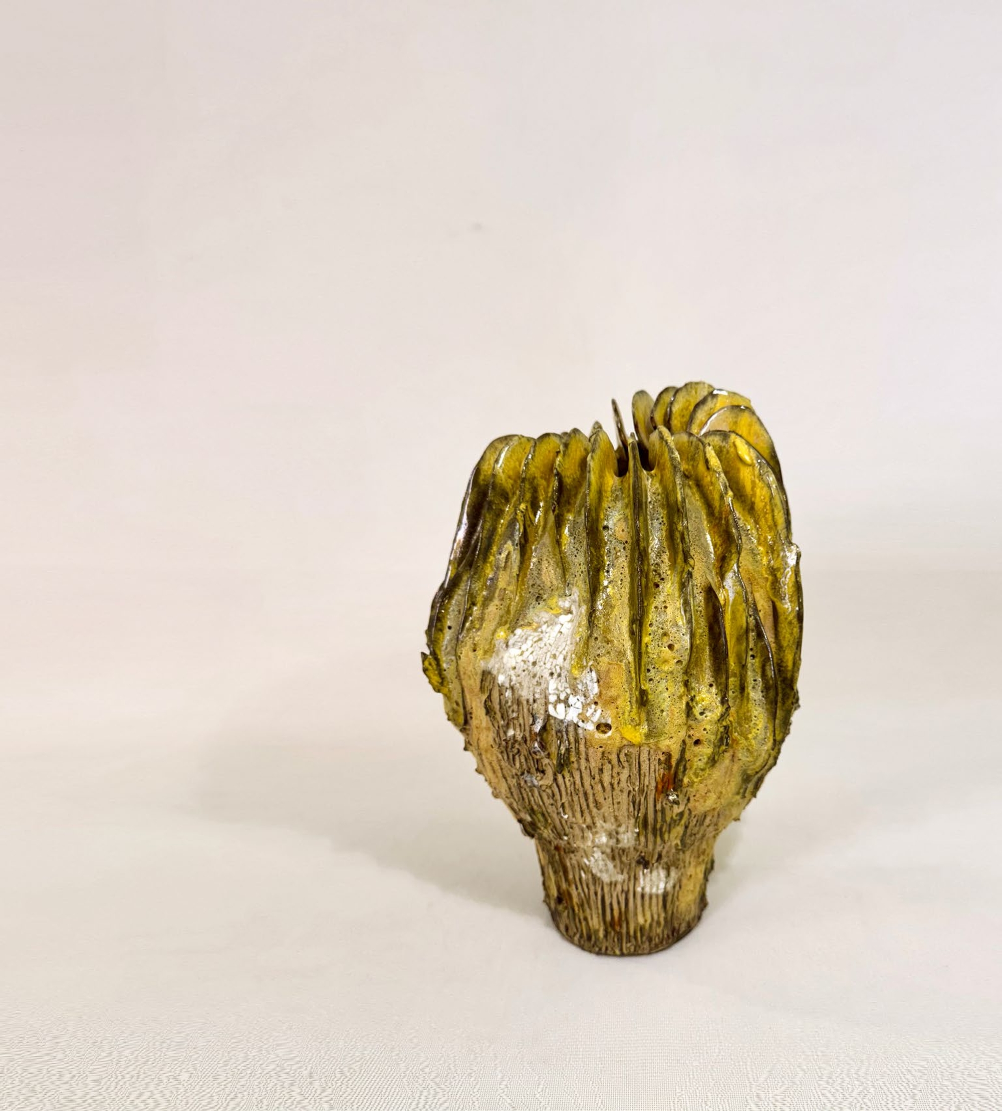 Boletus Aurea Magna Stoneware