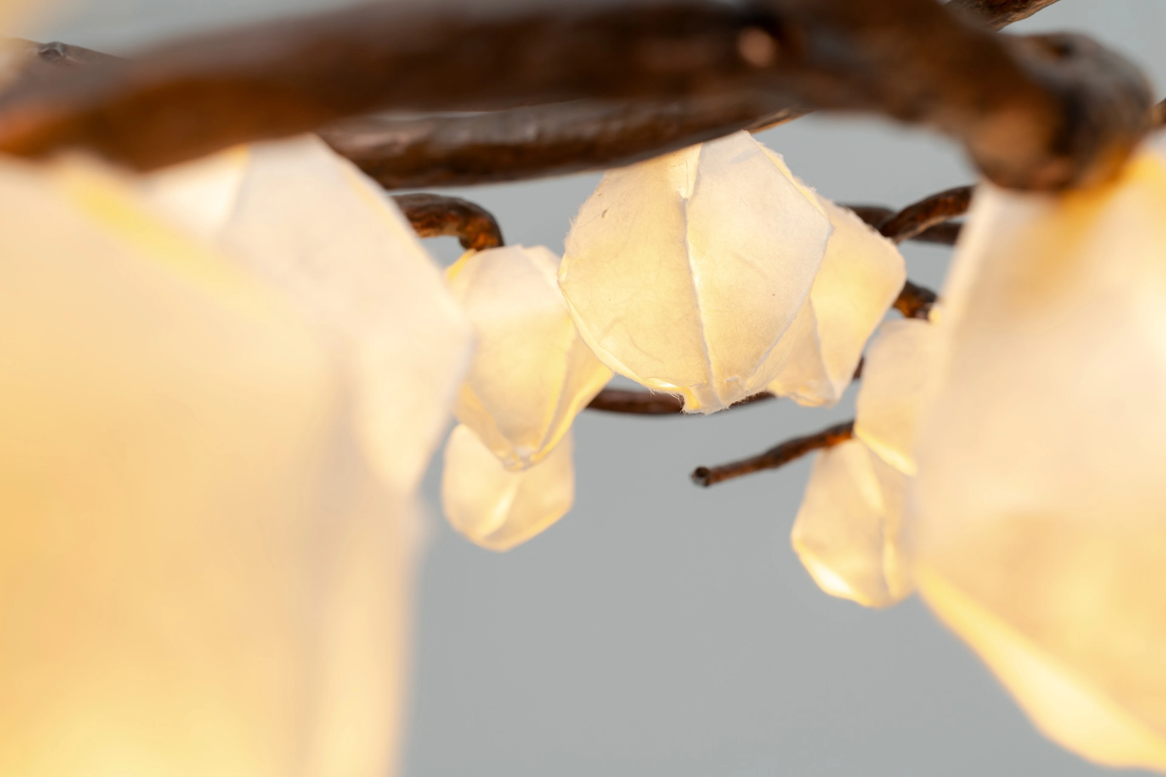 Simone Chandelier - 3