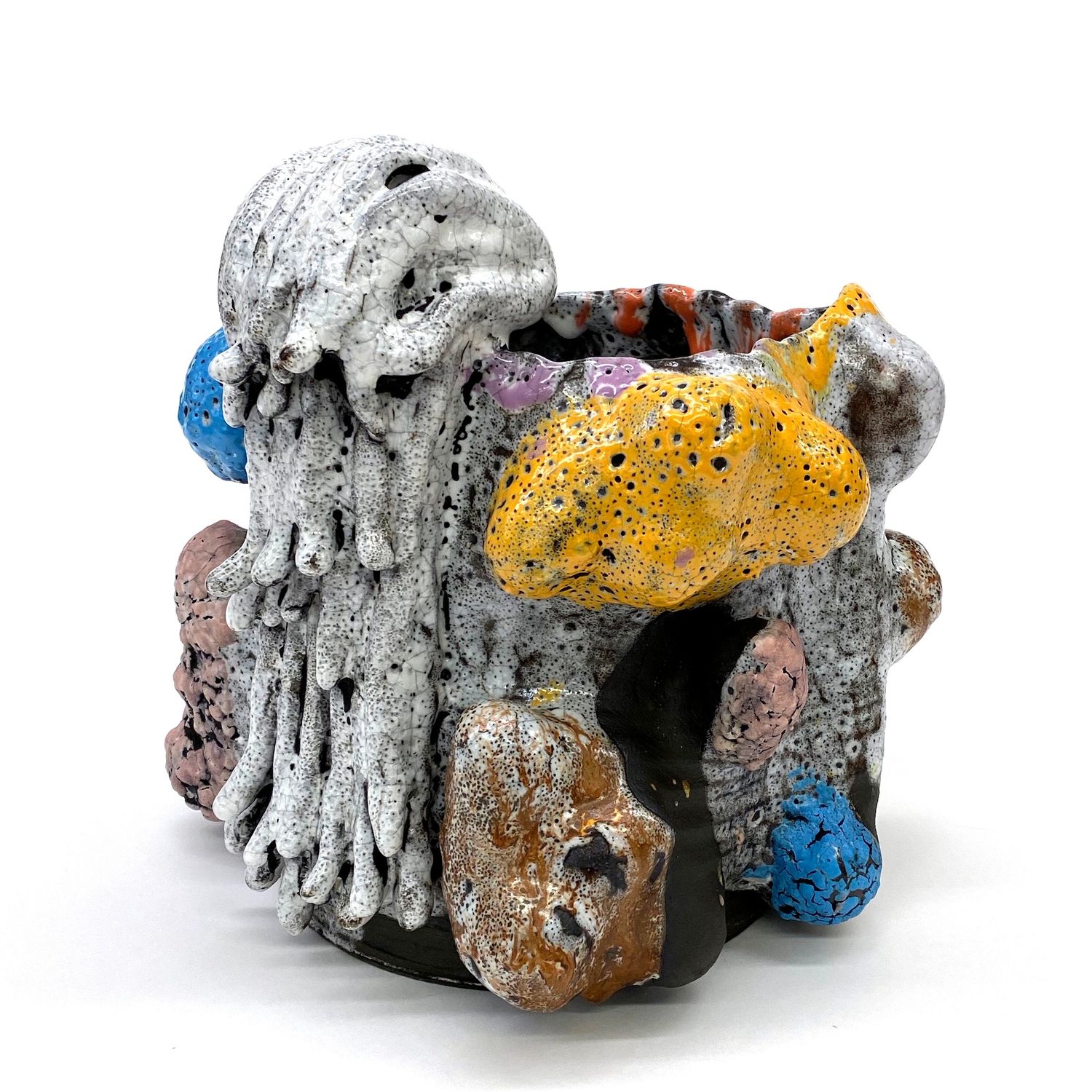 Potato Tree with Ghost Vines