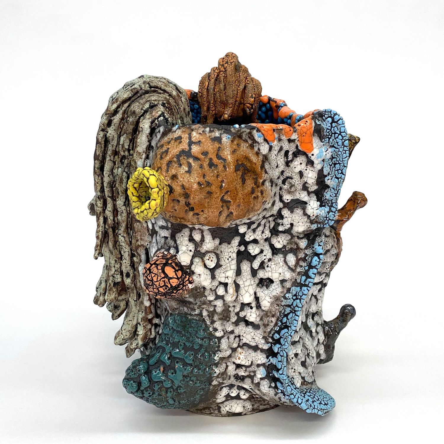 Potato Tree With Brown/Tan Vines