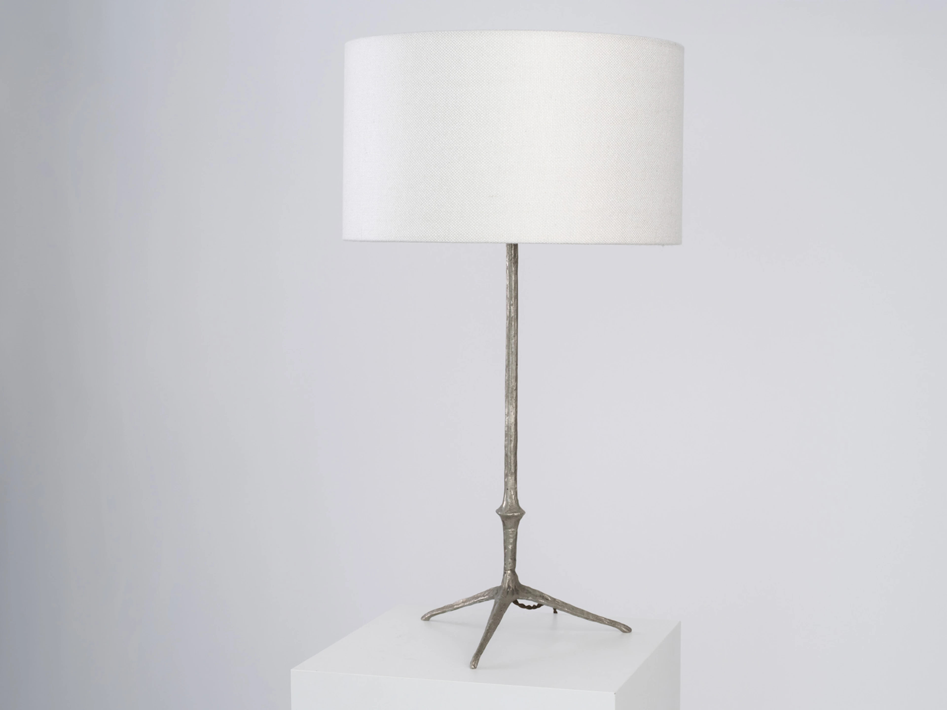 Aigle Table Lamp - 4