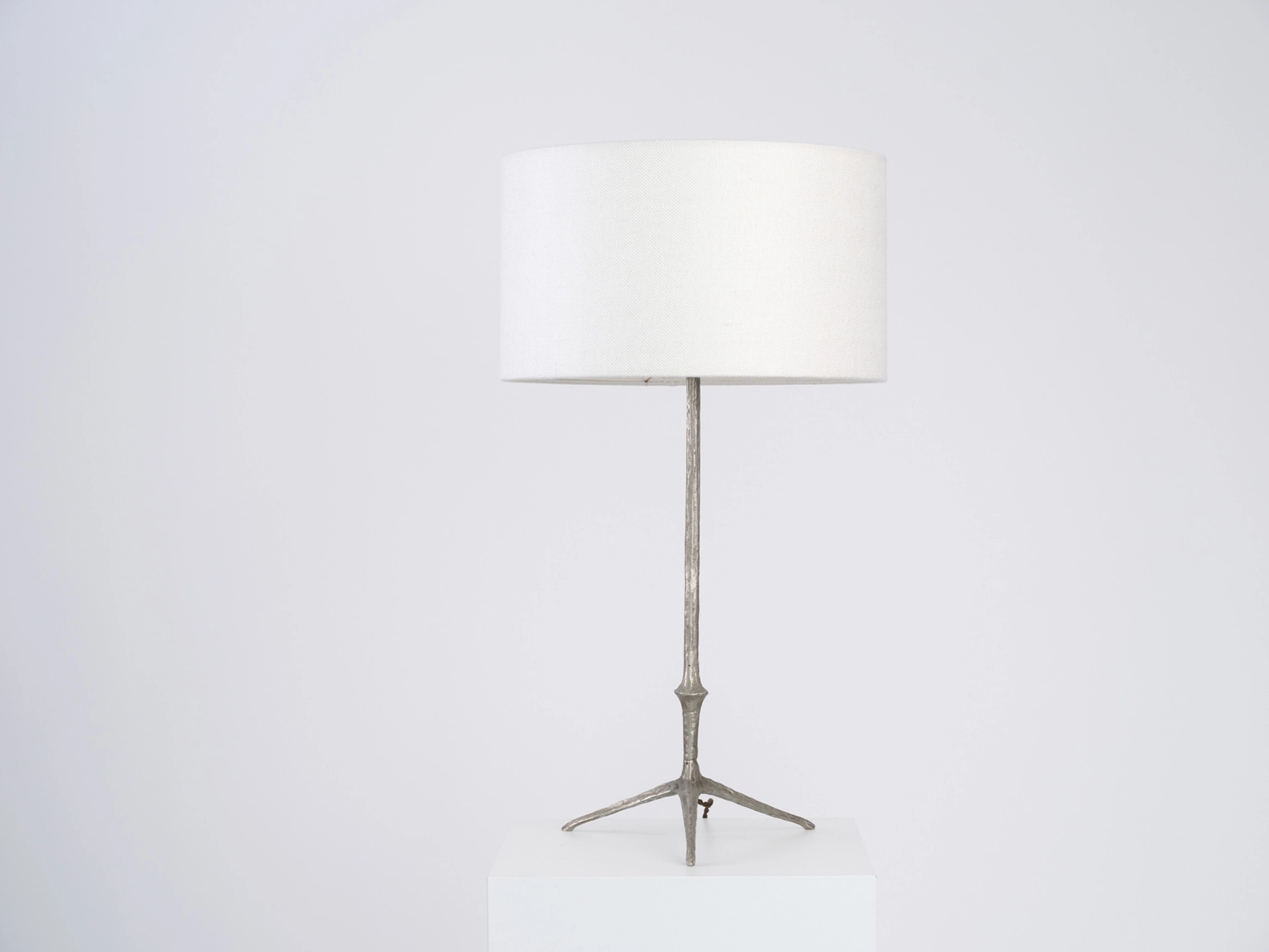 Aigle Table Lamp - 5