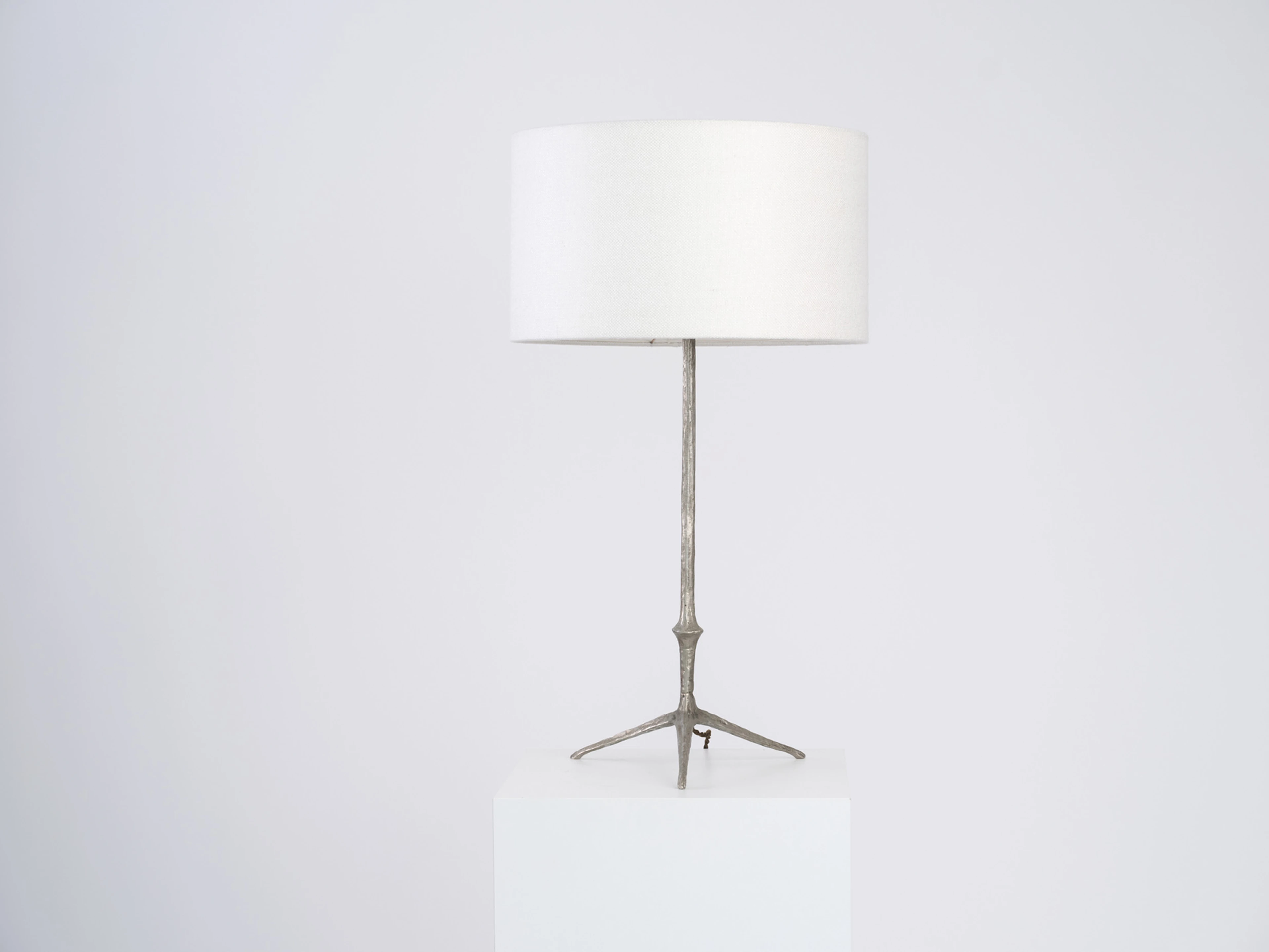 Aigle Table Lamp - 3