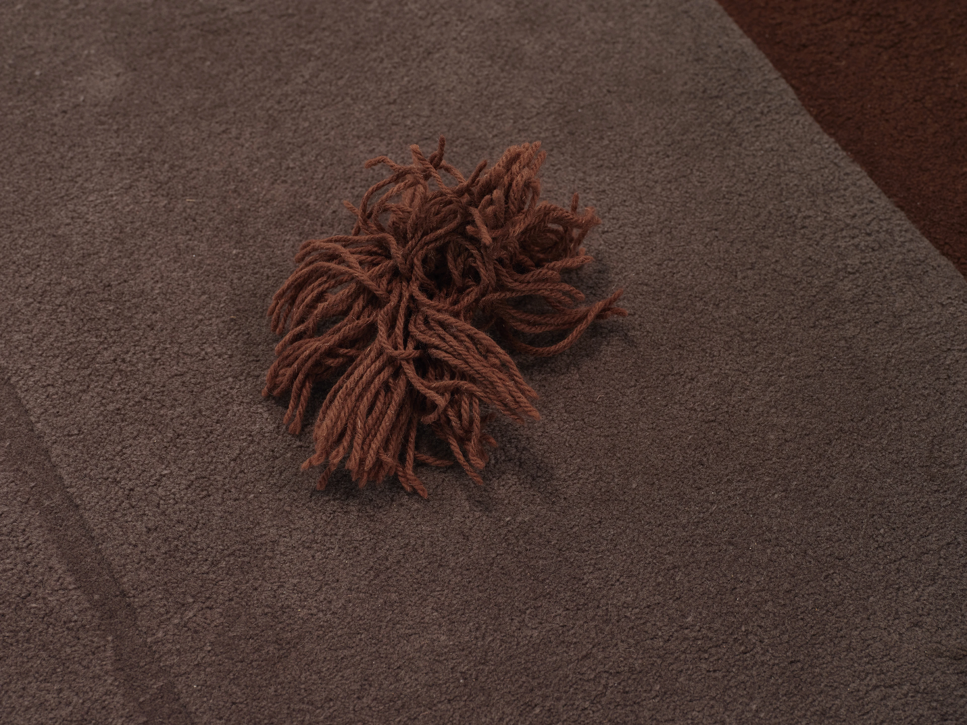 Tapis aux Anneaux - 4