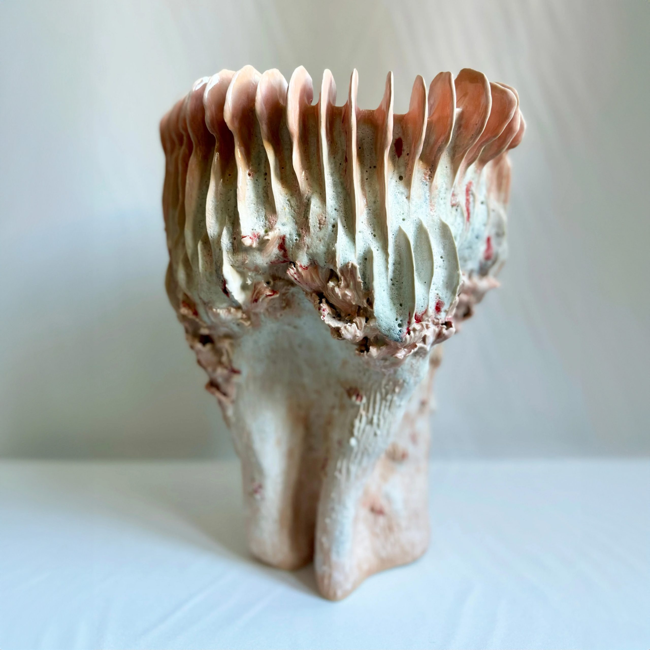 Cantharellus Roseum Maxi