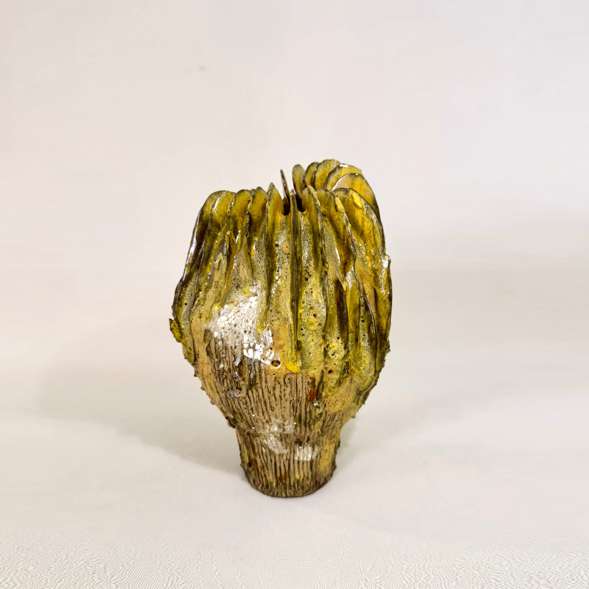 Boletus Aurea Magna