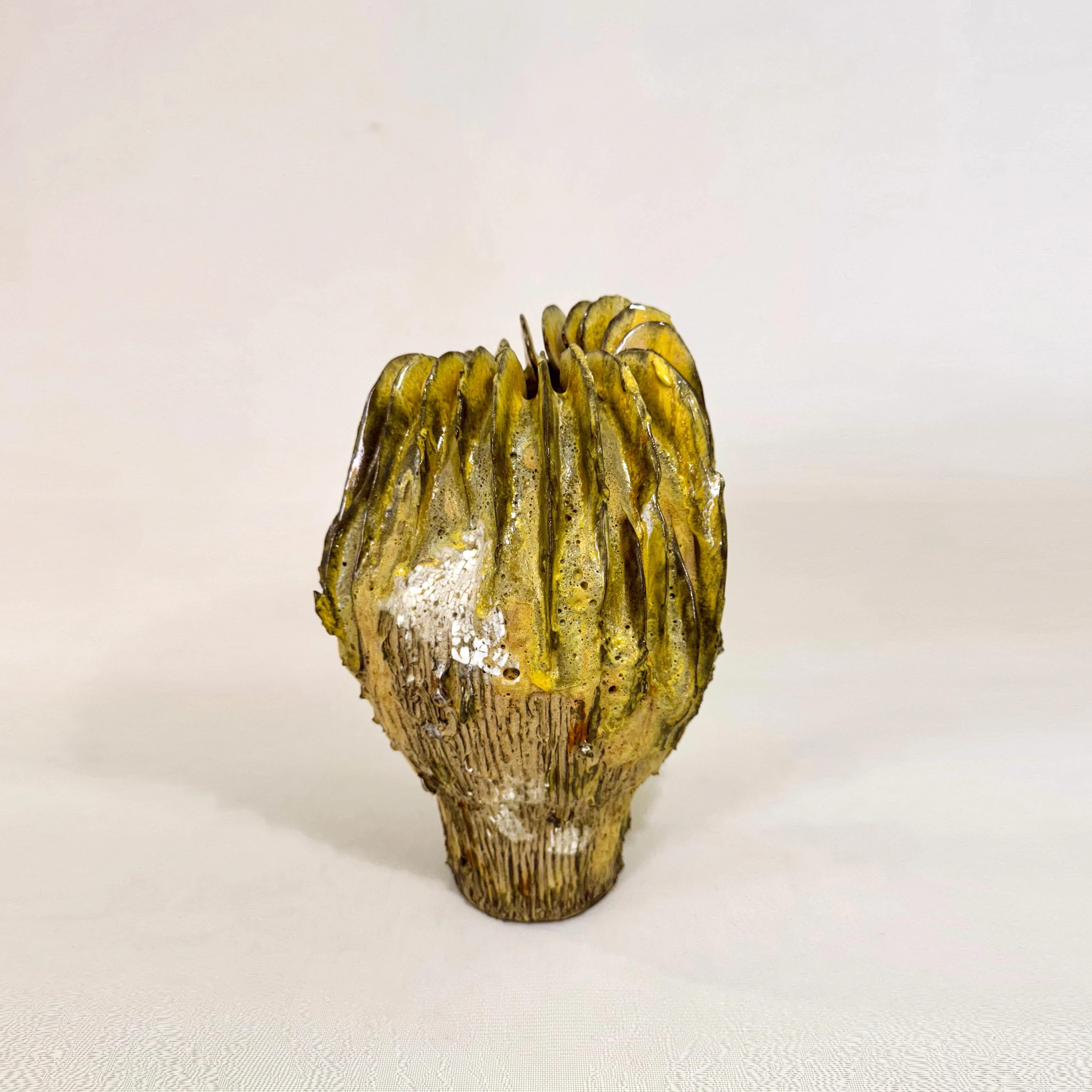 Boletus Aurea Magna