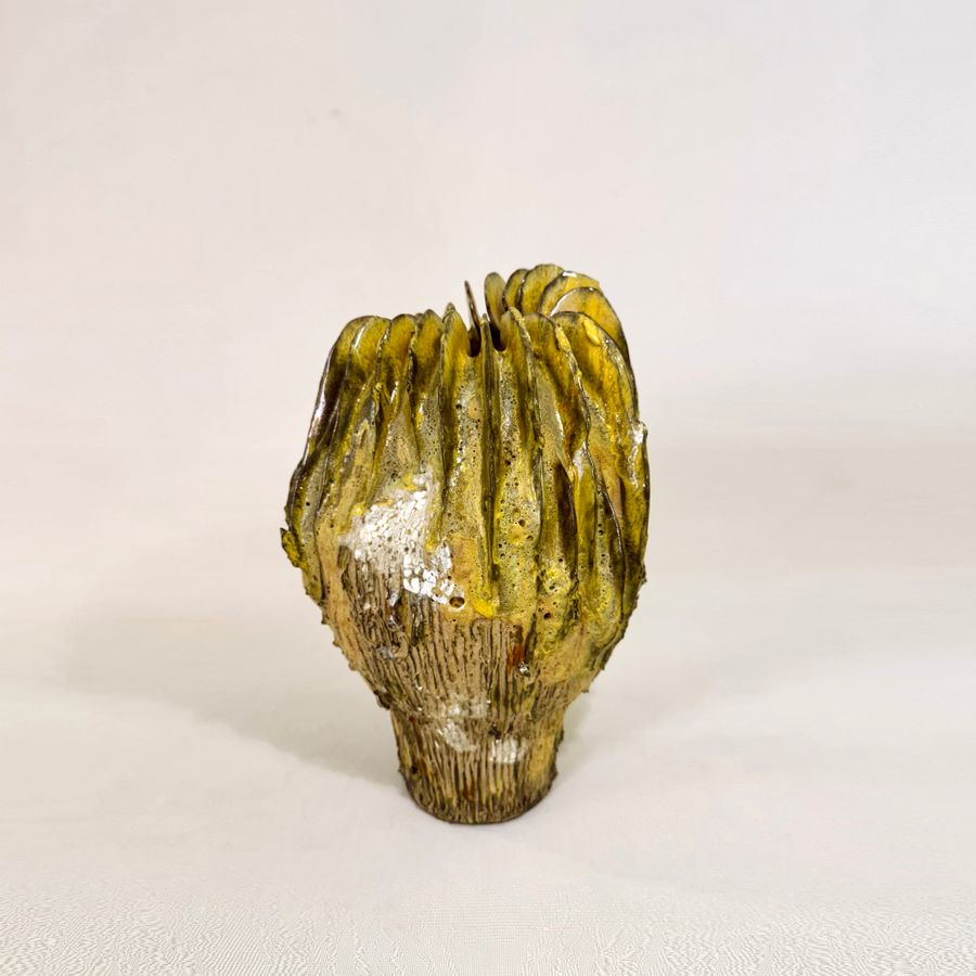 Boletus Aurea Magna