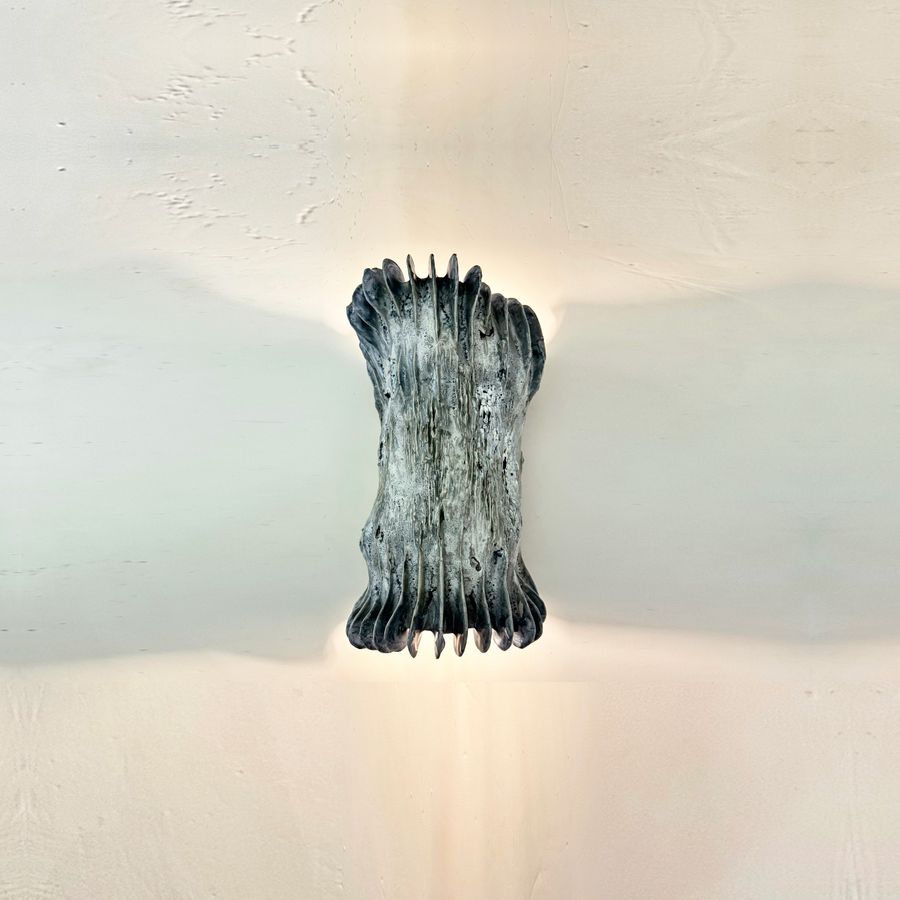 Shining Tubaria Roseum 