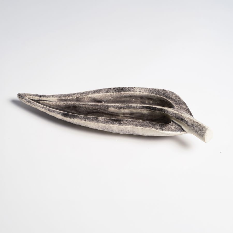 Feuille lancéolée