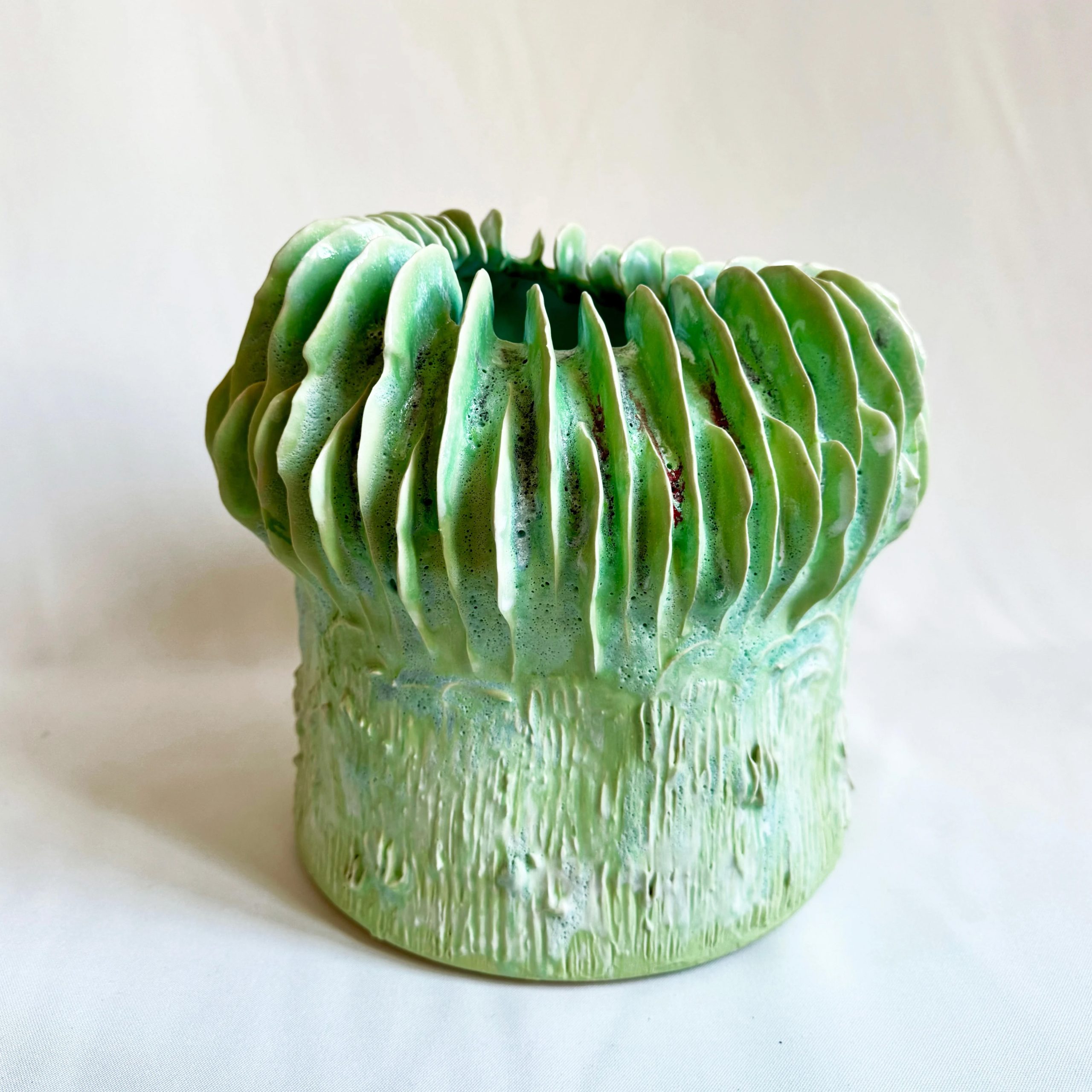 Coprinus Viridis Magna