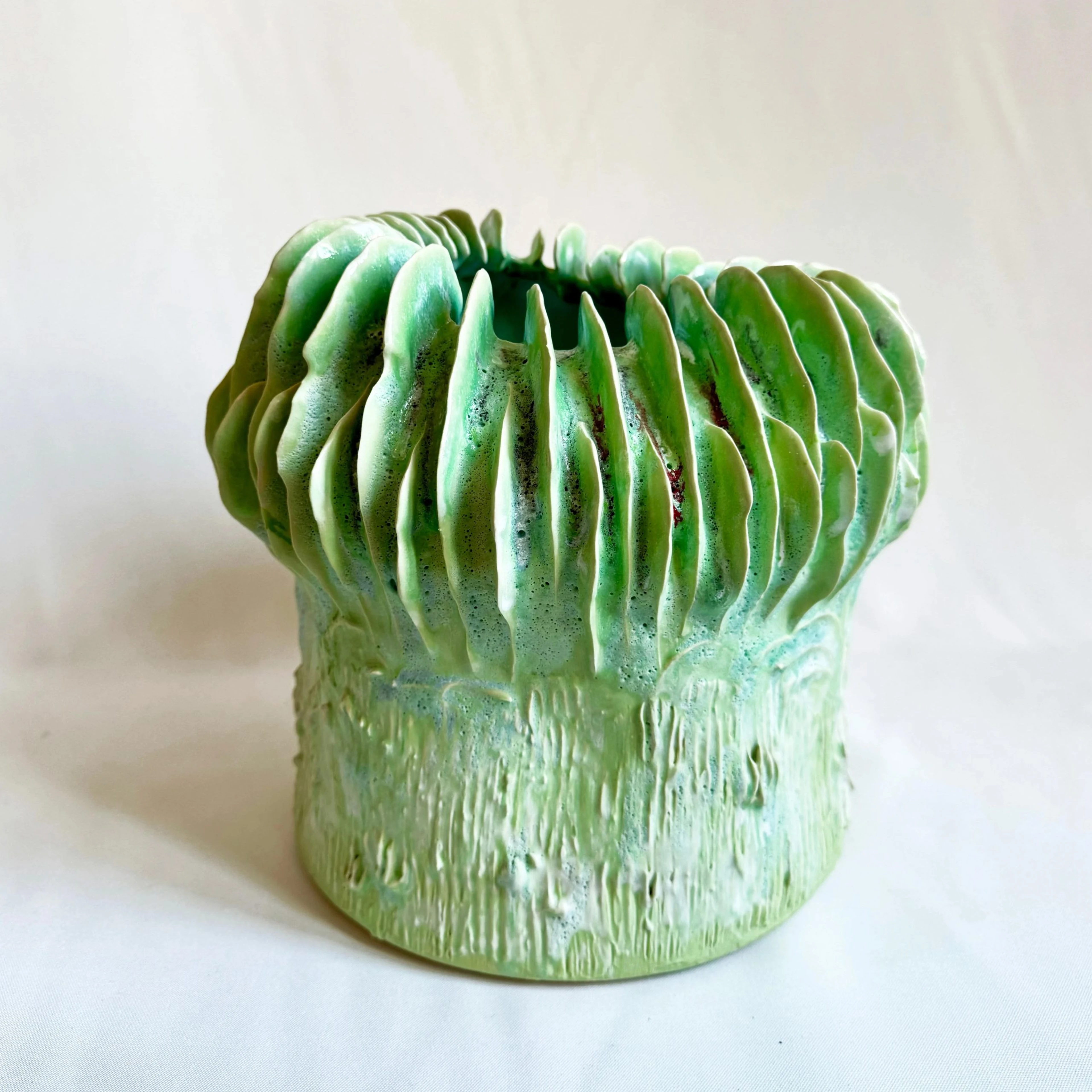 Coprinus Viridis Magna