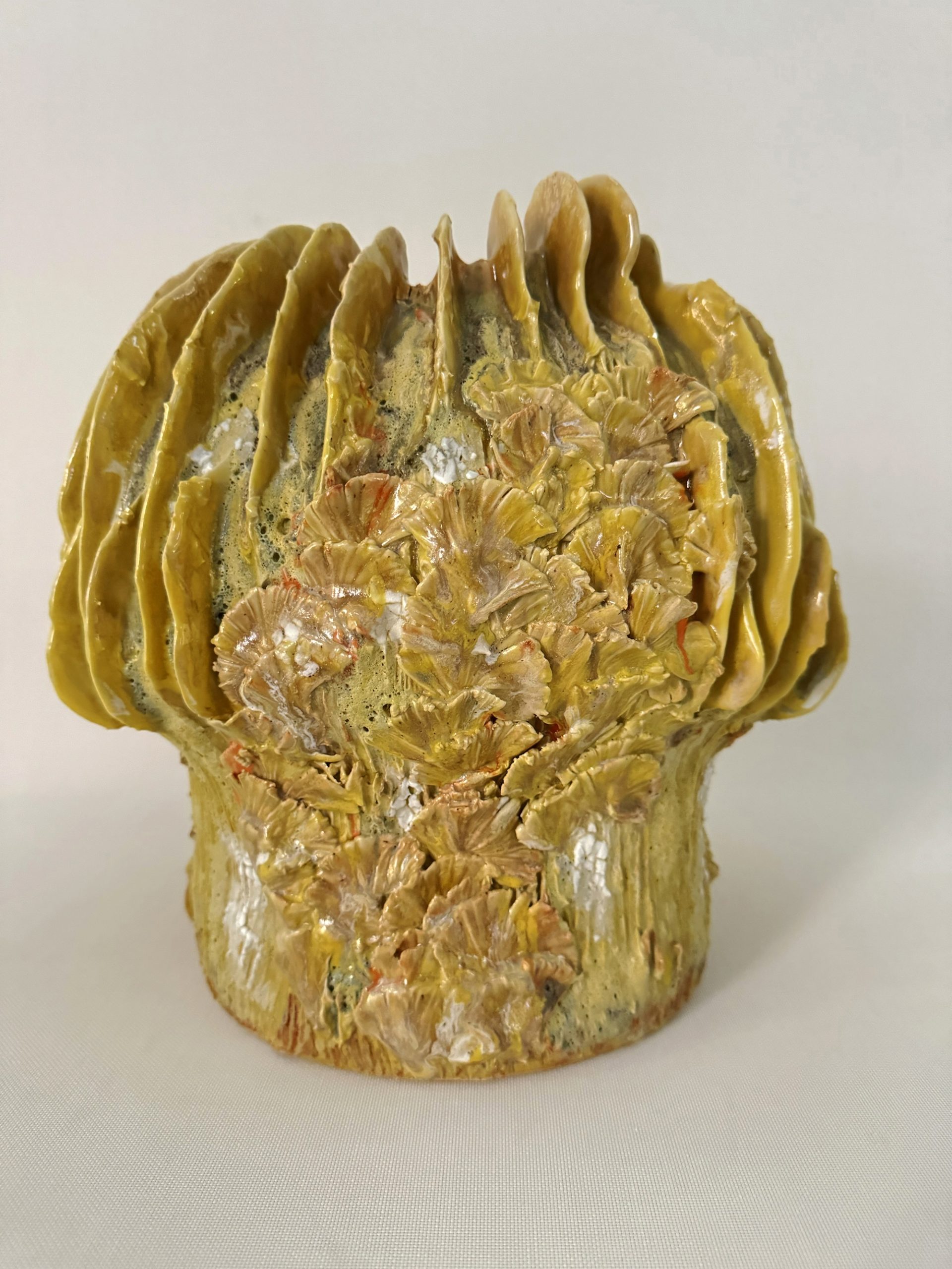 Coprinus Aurea Maxi - 2