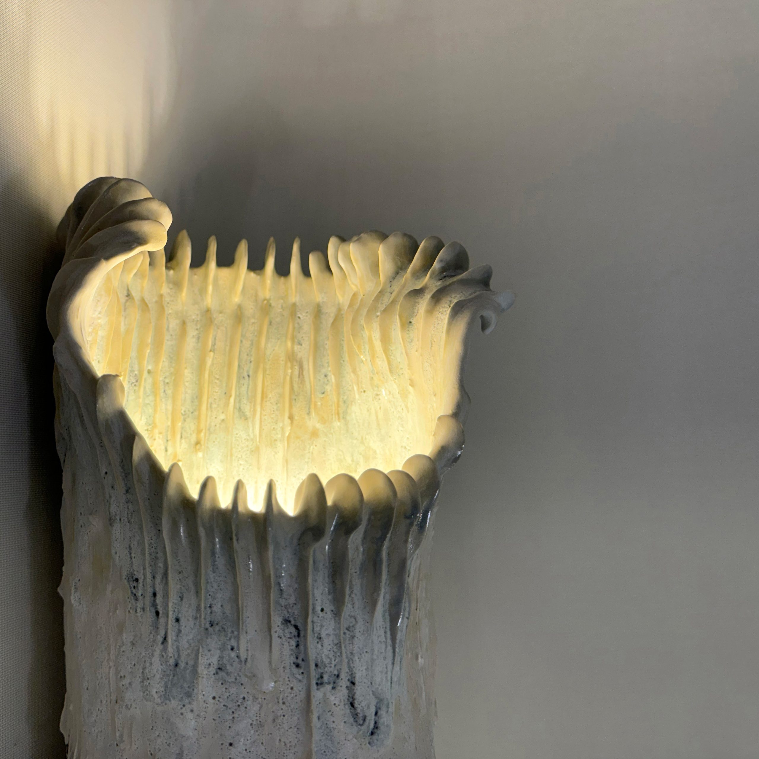 Shining Tubaria Perlatum - 6