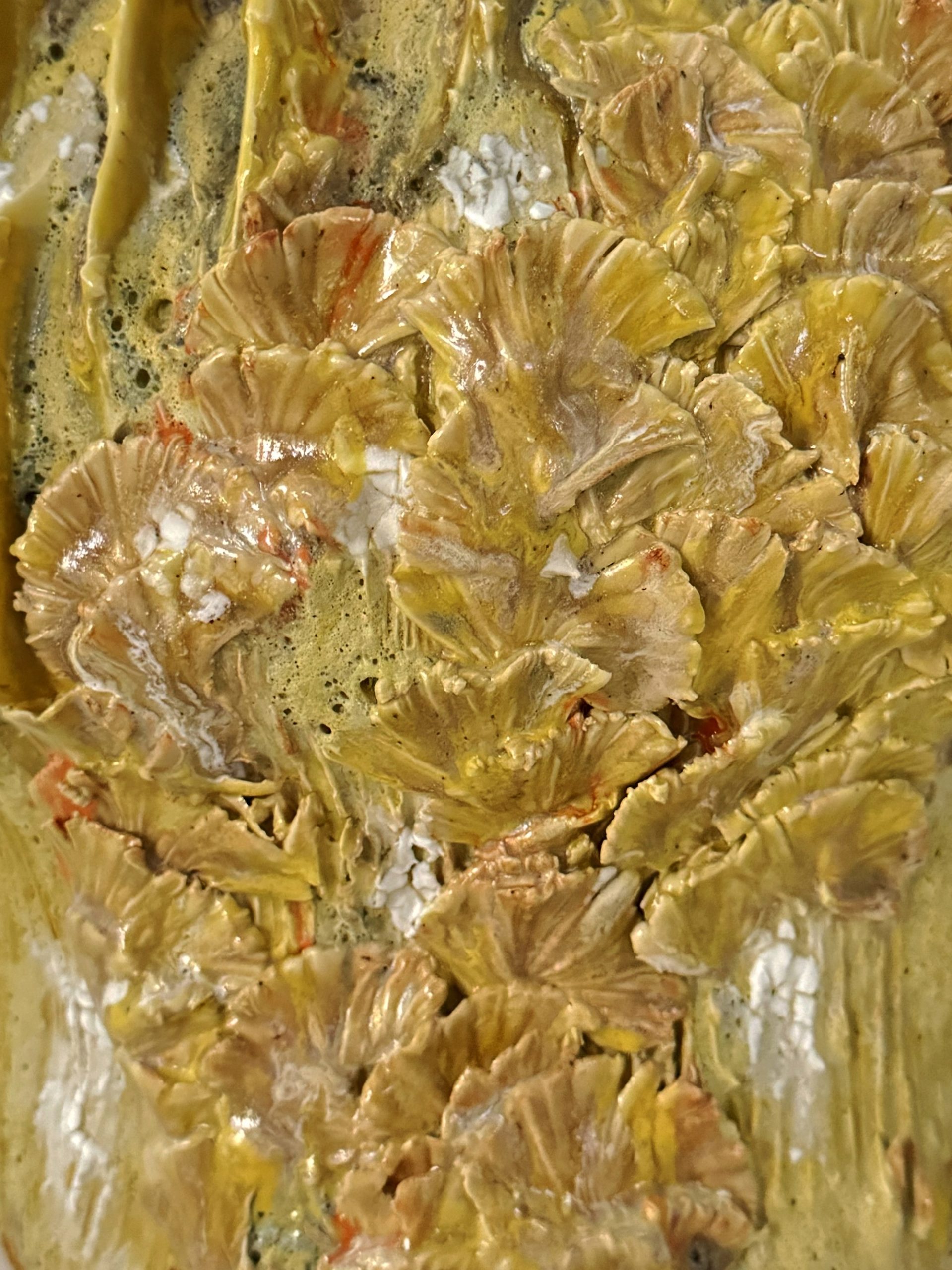 Coprinus Aurea Maxi - 3