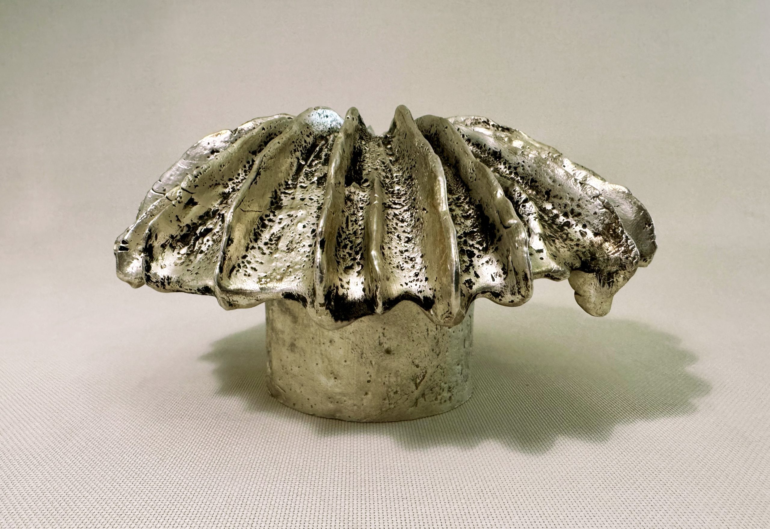 Pileus Aes Mini - 2