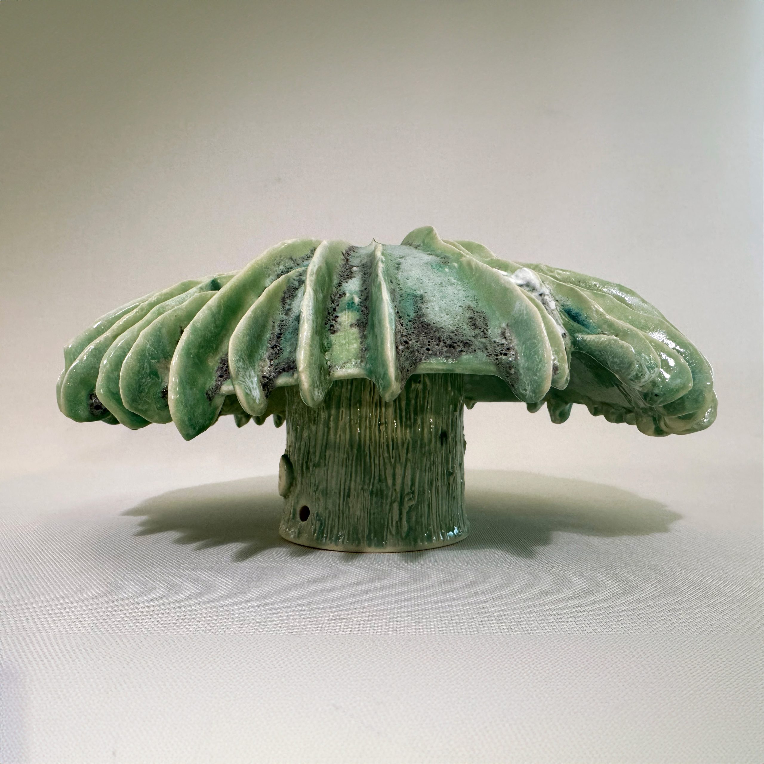 Pileus Viridis Magna