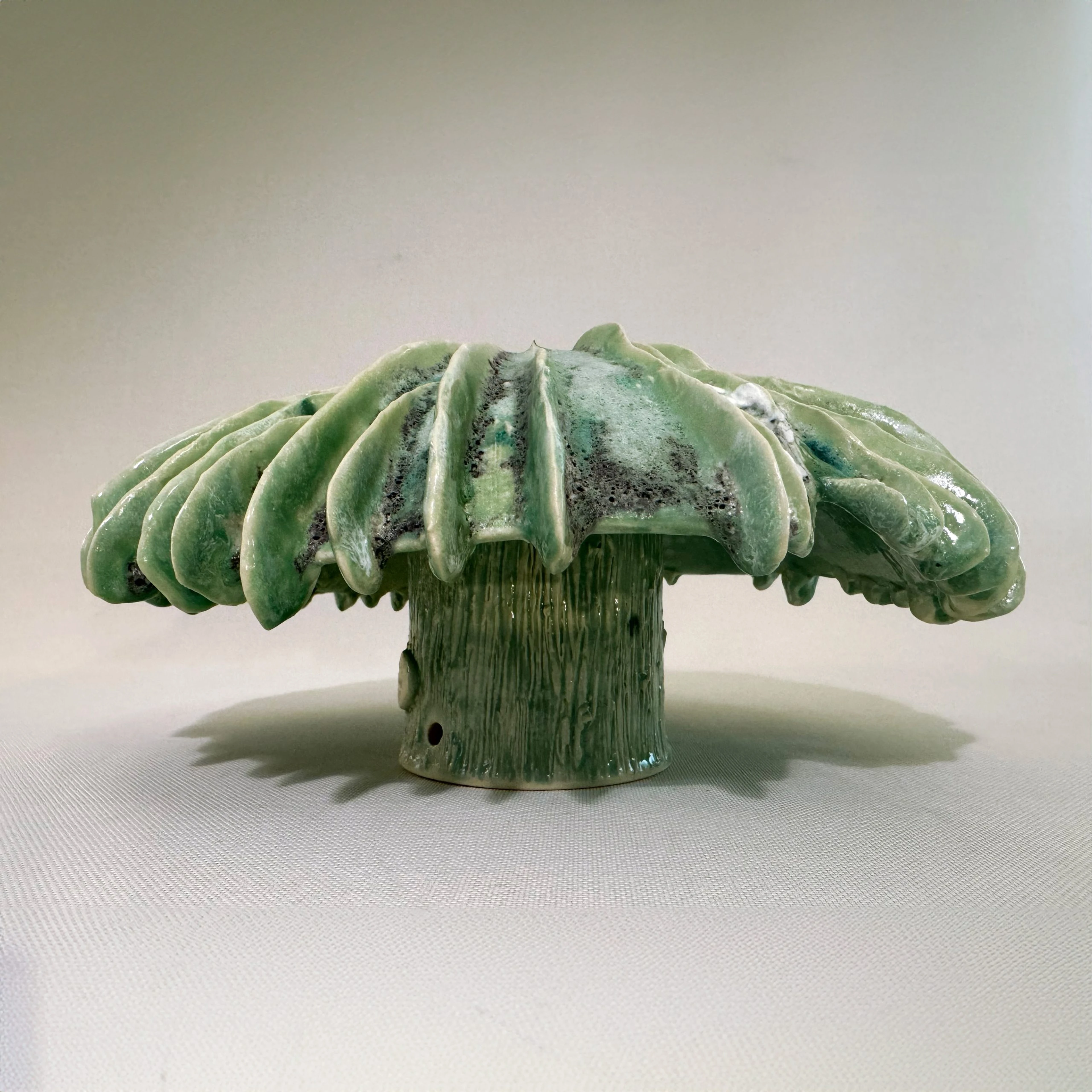 Pileus Viridis Magna
